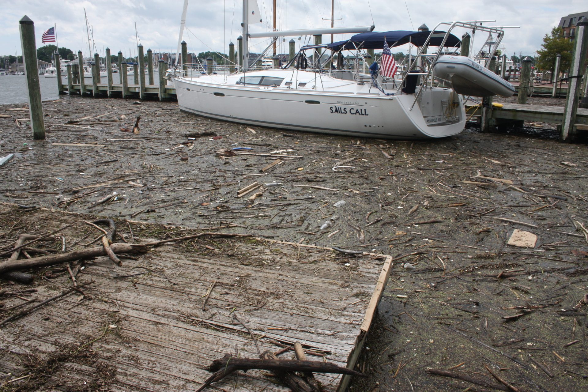 Chesapeake Bay Clean Water Goals