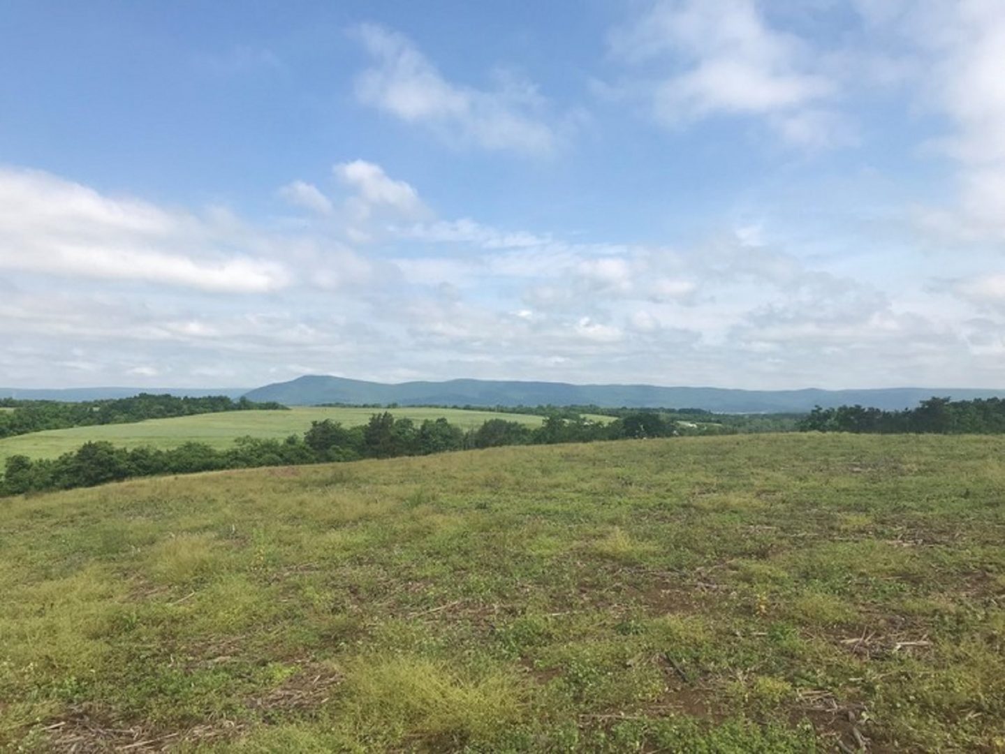 The new Penn State solar project, a large-scale, ground-mounted solar array using over 150,000 solar panels in three locations encompassing roughly 500 acres of Franklin County land, will be located just outside of Chambersburg, near Penn State’s Mont Alto campus.