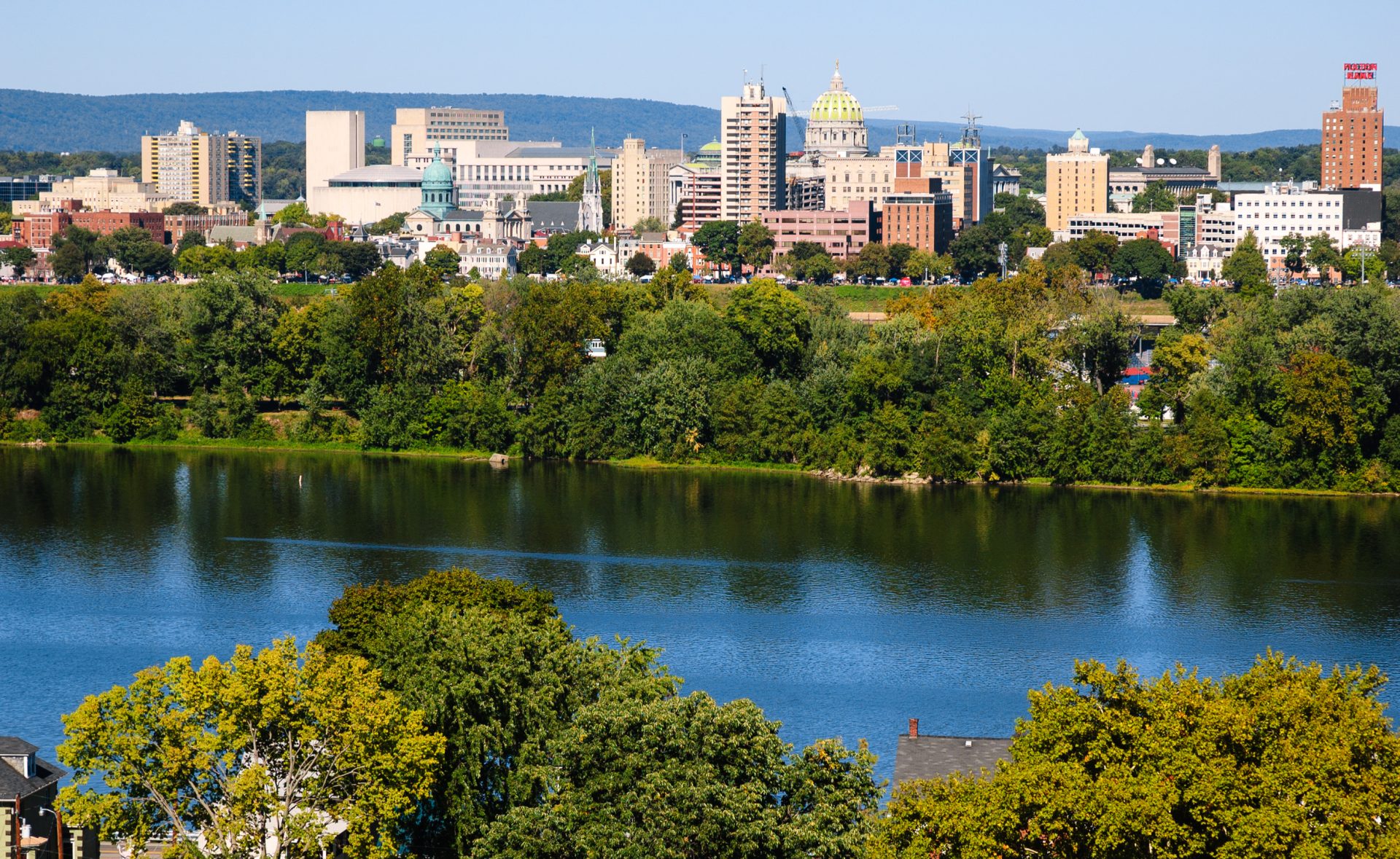 Urban Forests Enhance Quality Of Life Smart Talk