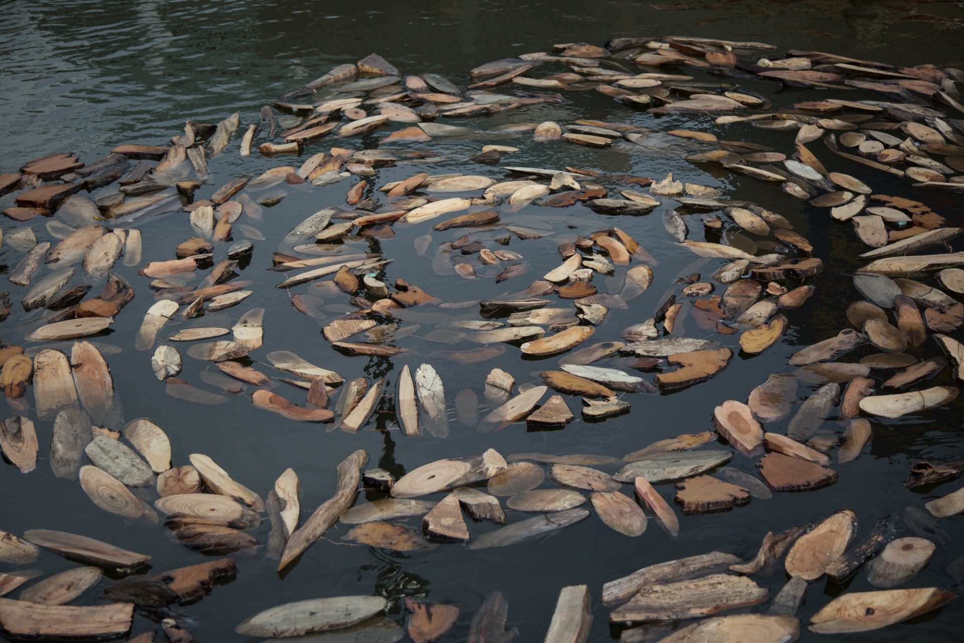 Philadelphia native, Nancy Agati's Evidence Cycle—Imprint and Impact sits in the river basin for the art exhibit FLOW. Agati's sculpture is a giant fingerprint made of found wood from the Delaware River that floats on the surface and moves with the cycles of currents and tides.