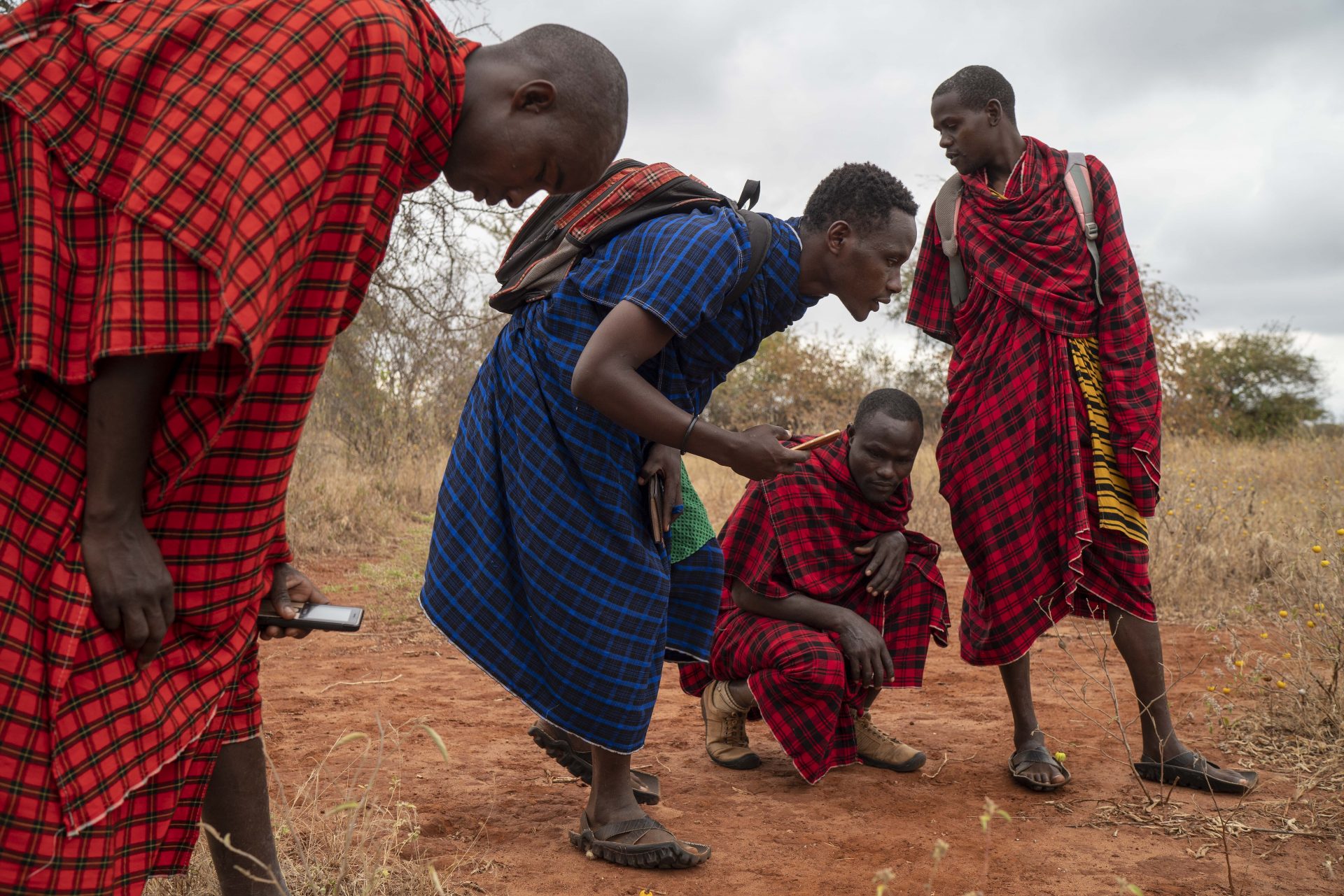 In this Saturday July 6, 2019 photo, Saitoti Petro, center wearing blue, tracks lions near the village of Loibor Siret, Tanzania. Petro is one of more than 50 lion monitors from communities on the Maasai Steppe who walk daily patrol routes to help shepherds shield their cattle in pasture, with support and training from a small, Tanzanian nonprofit called African People and Wildlife.