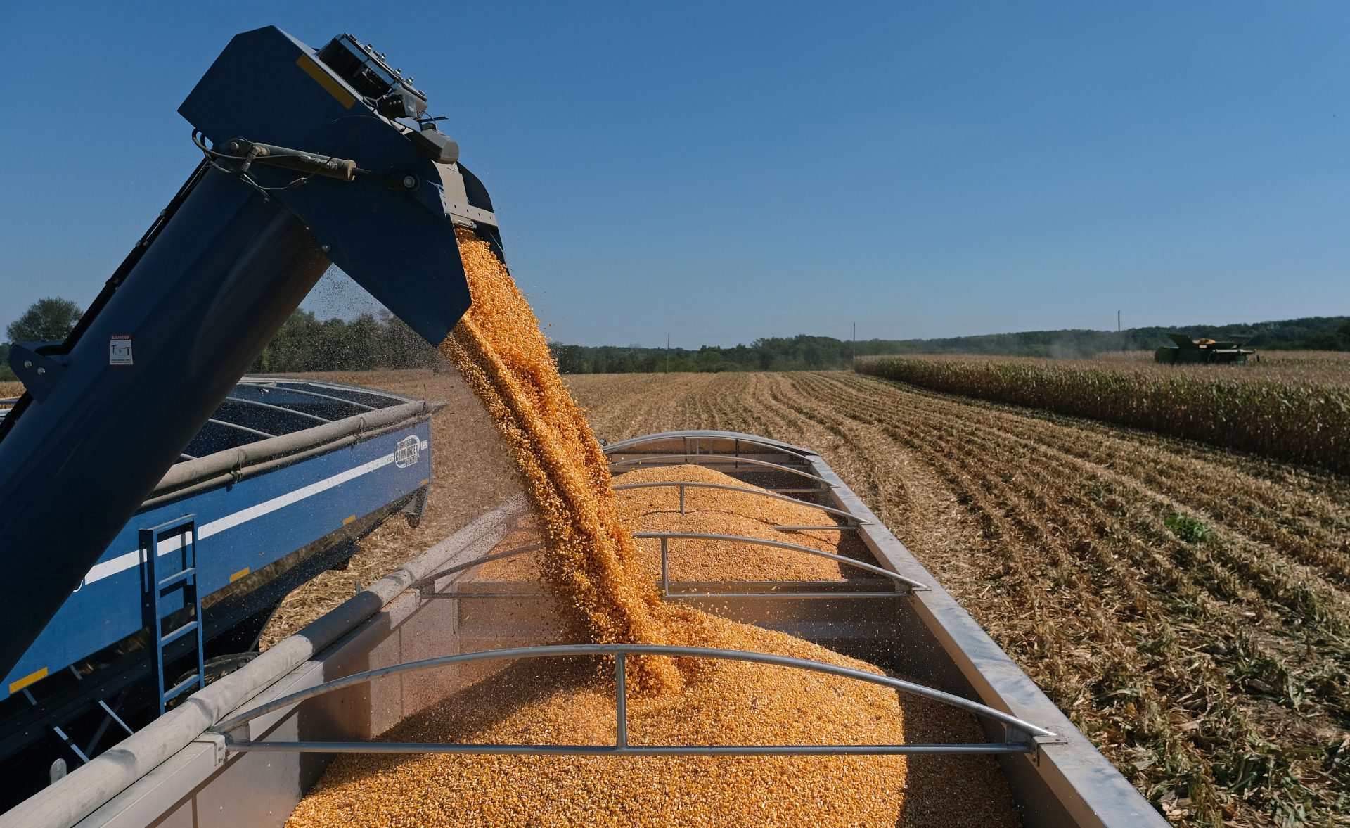 Harvested corn is unloaded into a truck Sept. 25, 2019, at Cairns Family Farm in Sadsbury Township, Pennsylvania.