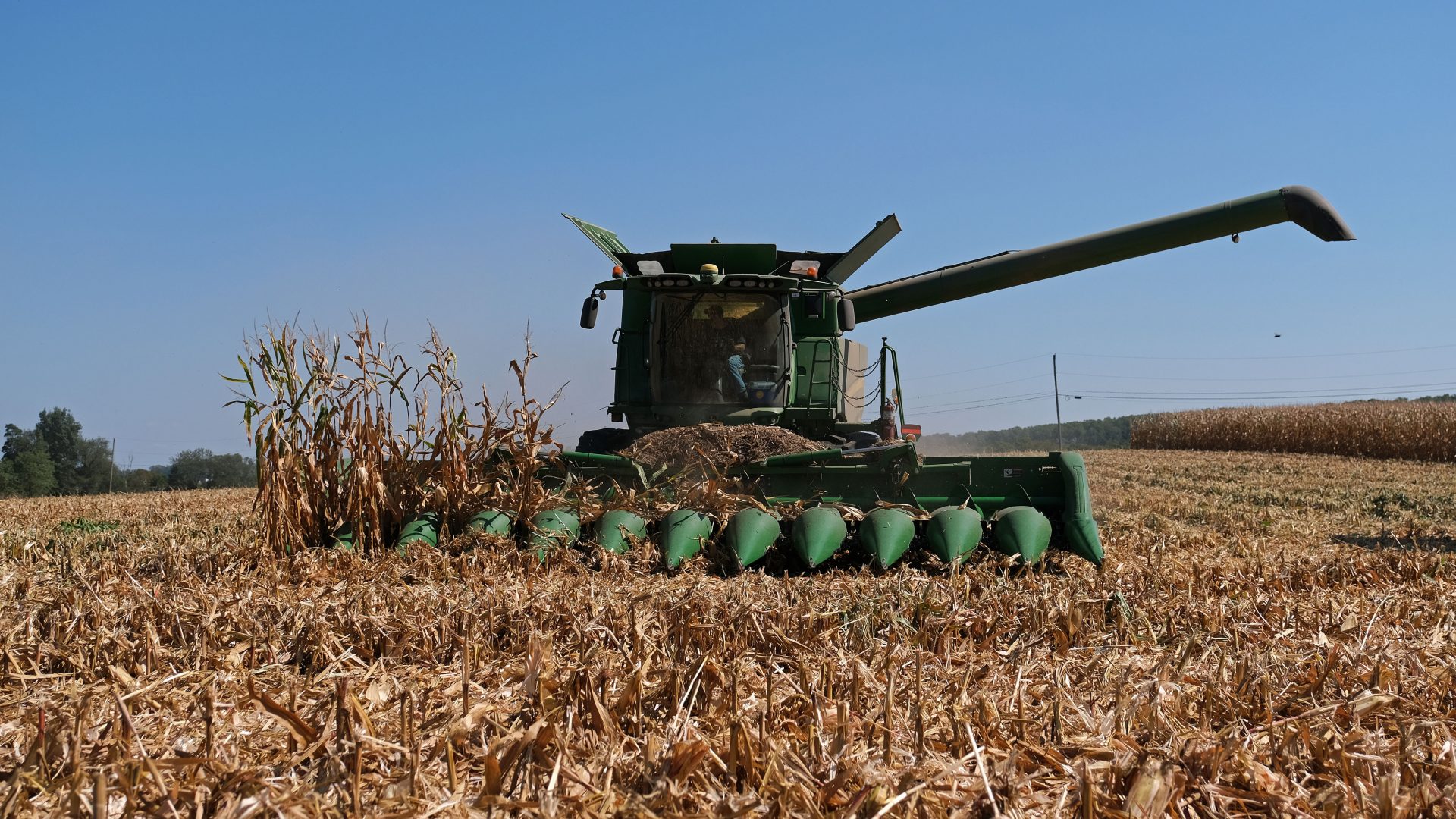 Derrick Weaver, of New Holland, drives a combine to harvest corn Sept. 25, 2019, at Cairns Family Farm in Sadsbury Township, Pennsylvania.