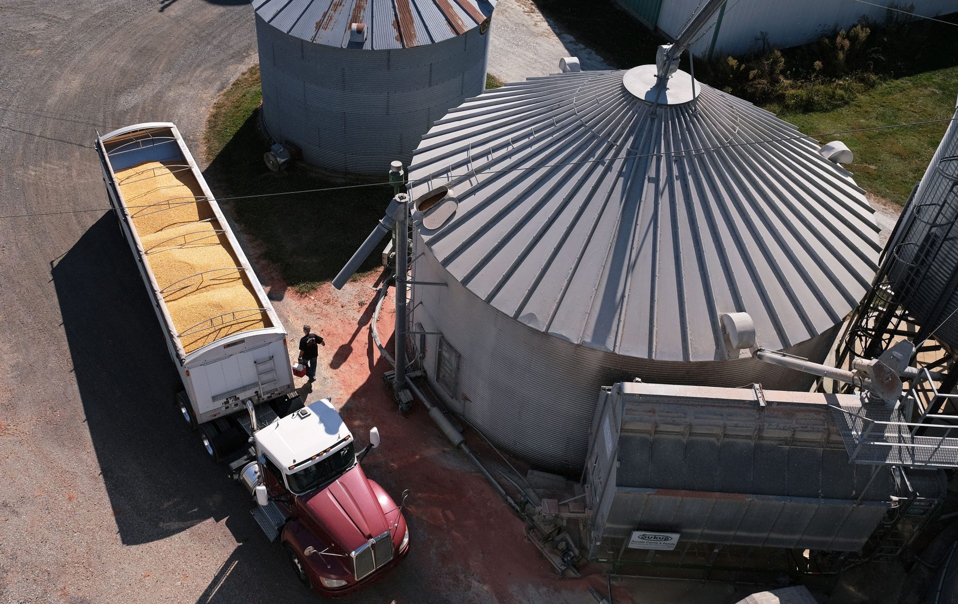 Soybeans grow on land farmed by grain farmer Mike Braucher on Sept. 20, 2019, at Braucher Farms in Centre Township, Pennsylvania.