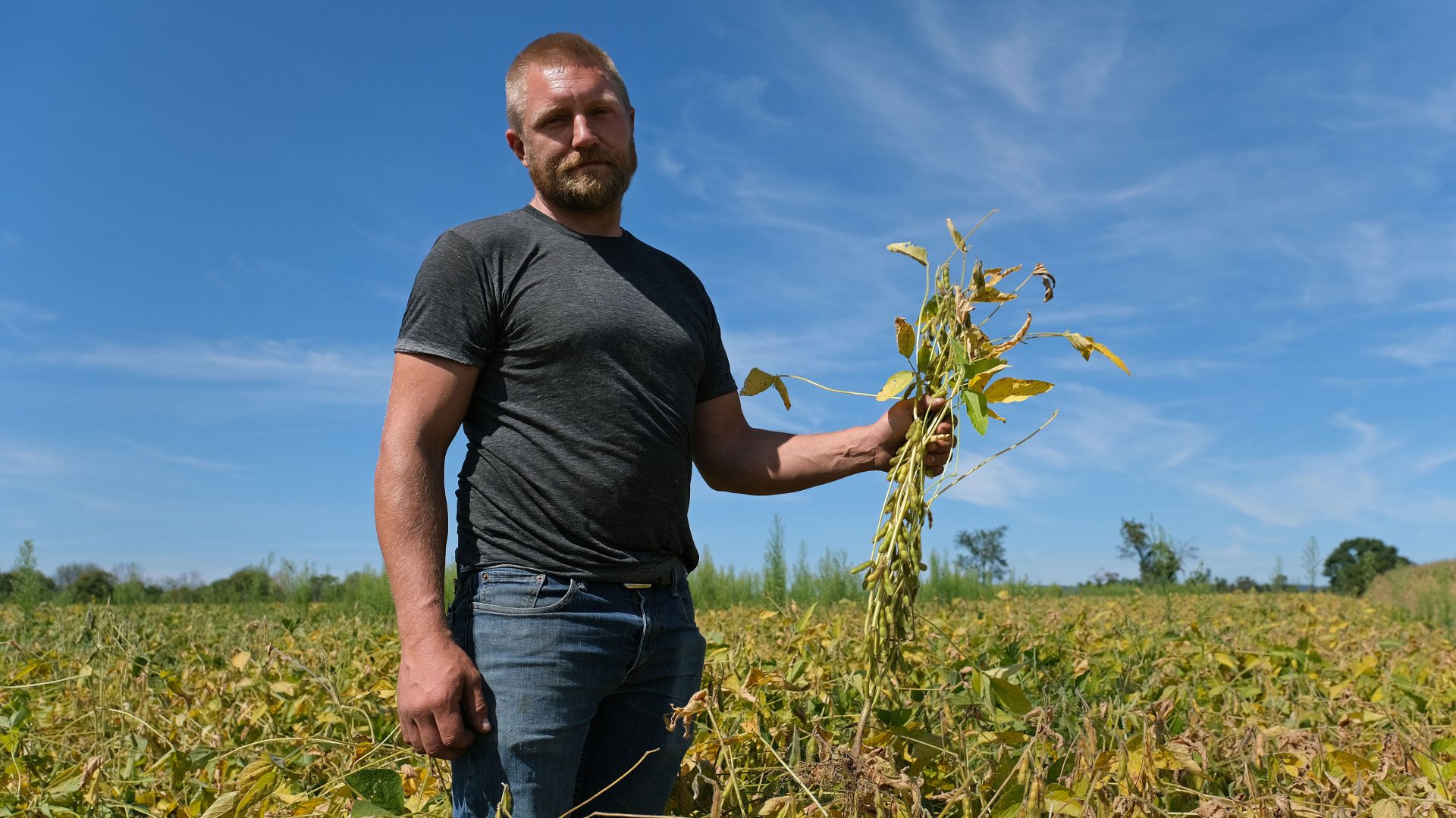 Grain farmer Jesse Poliskiewicz holds stems of soybeans while on his farm Sept. 20, 2019, in Upper Mount Bethel Township, Pennsylvania.