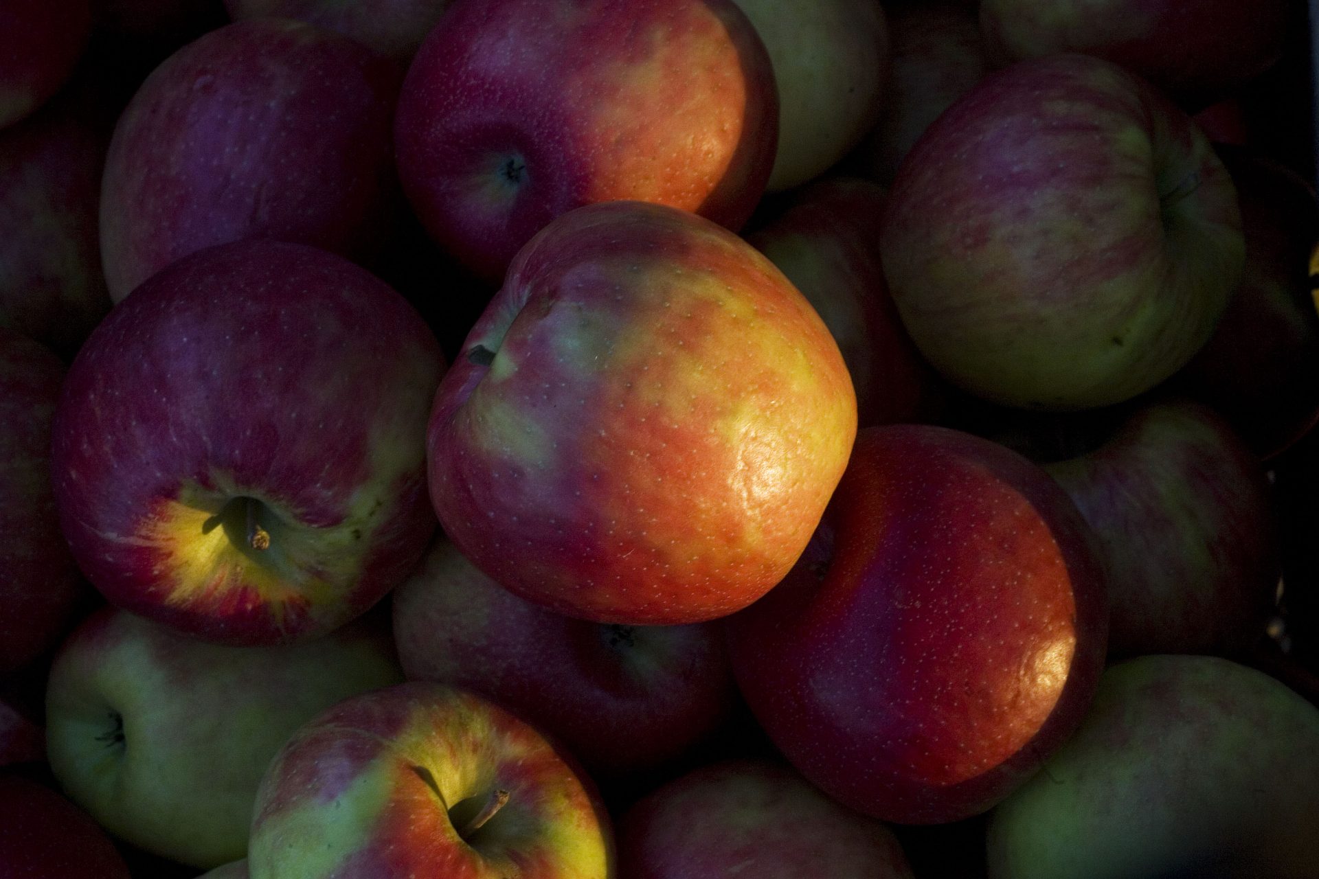 FILE PHOTO: This Oct. 3, 2007, file photo shows honeycrisp apples at an orchard in Burlington, Wis.