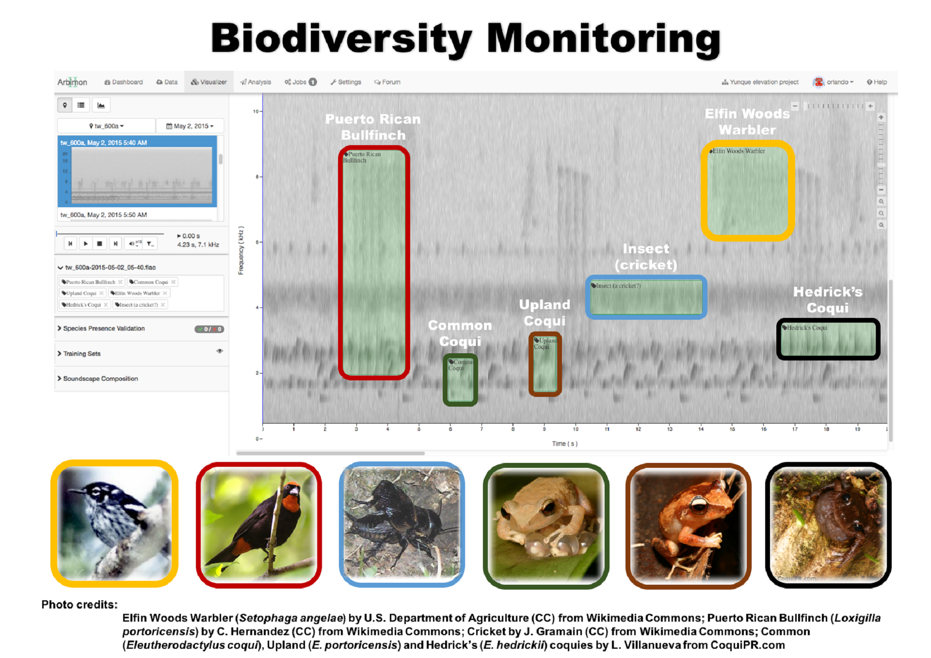 The acoustic diversity of an ecosystem can give an idea of its biodiversity.