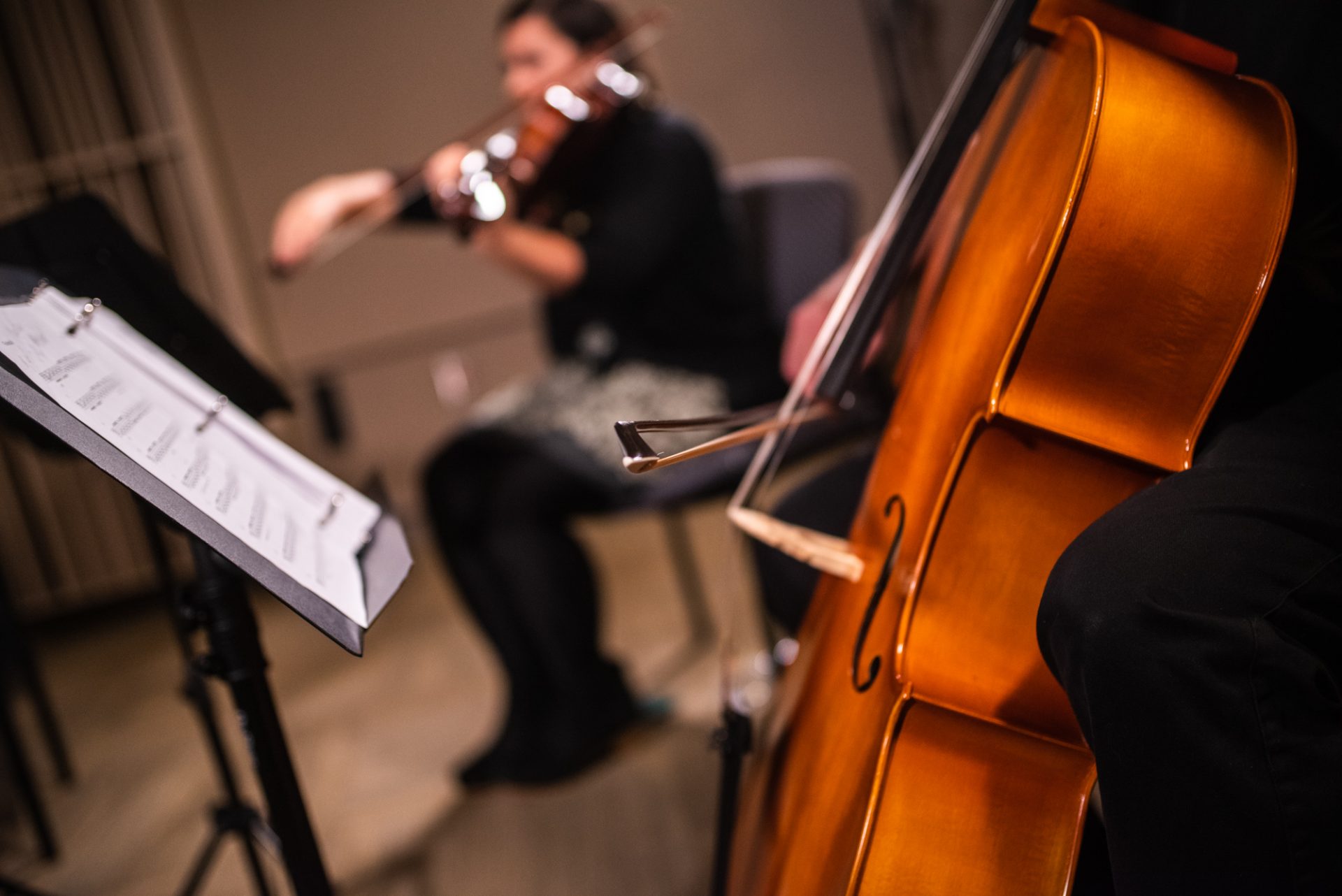 Close-up of a cello