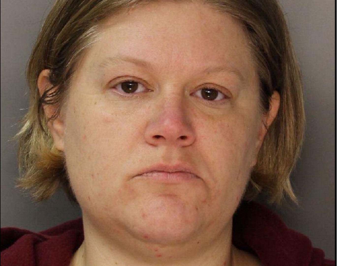 Lisa Snyder, of Albany Township, Berks County, is facing homicide charges in the deaths of her two children. 