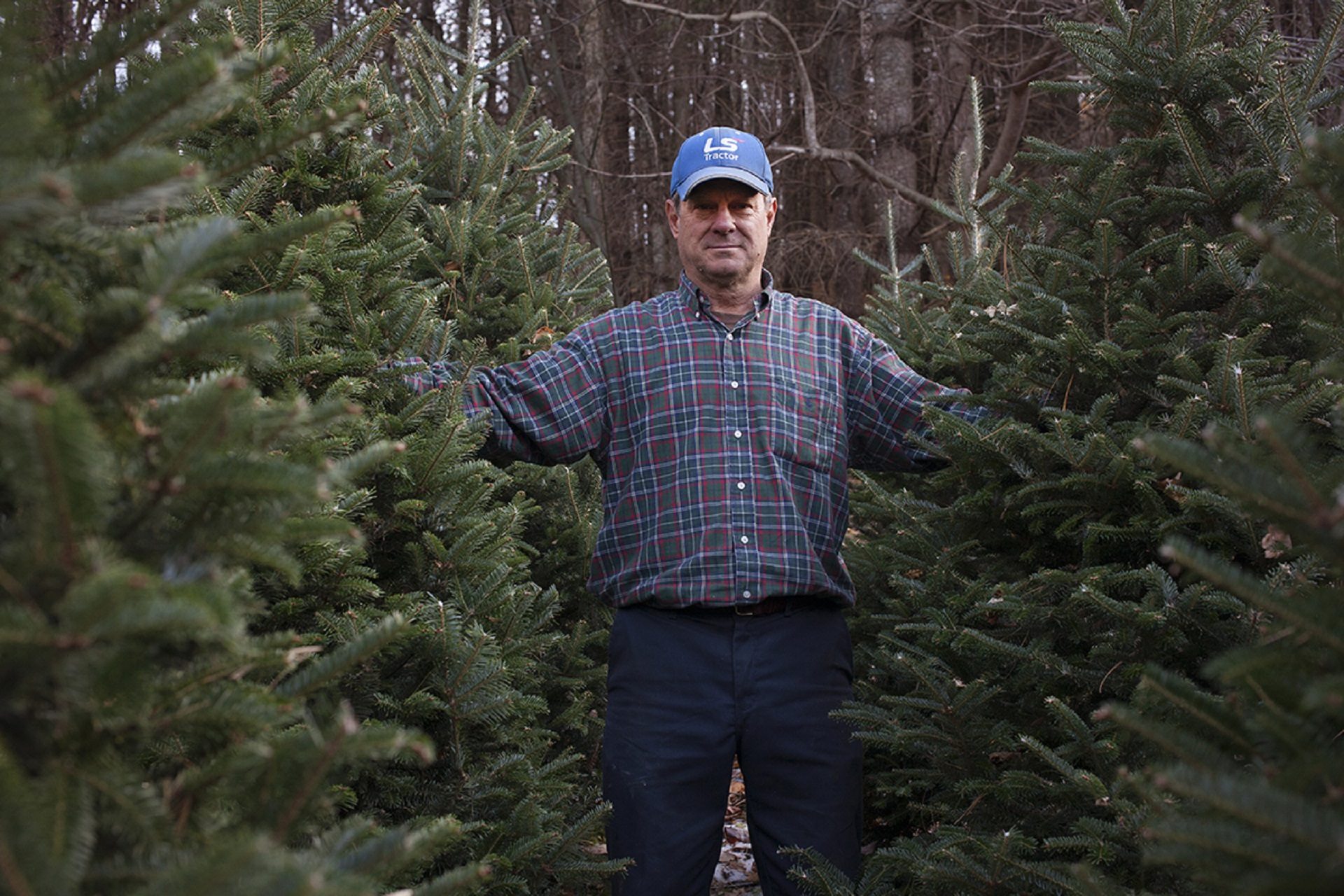 Joey Clawson at one of his Christmas tree stands on the first day of harvest. He grows about 95,000 firs on his operation.