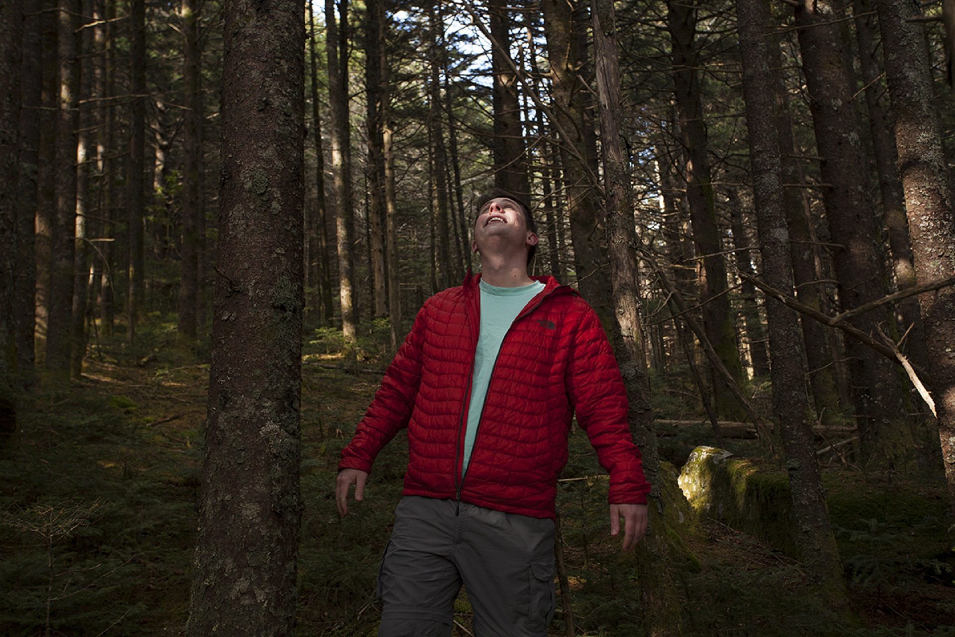 Scott Cory, who’s been studying Fraser firs for nearly a decade, in a fir forest on Roan Mountain, in Tennessee.