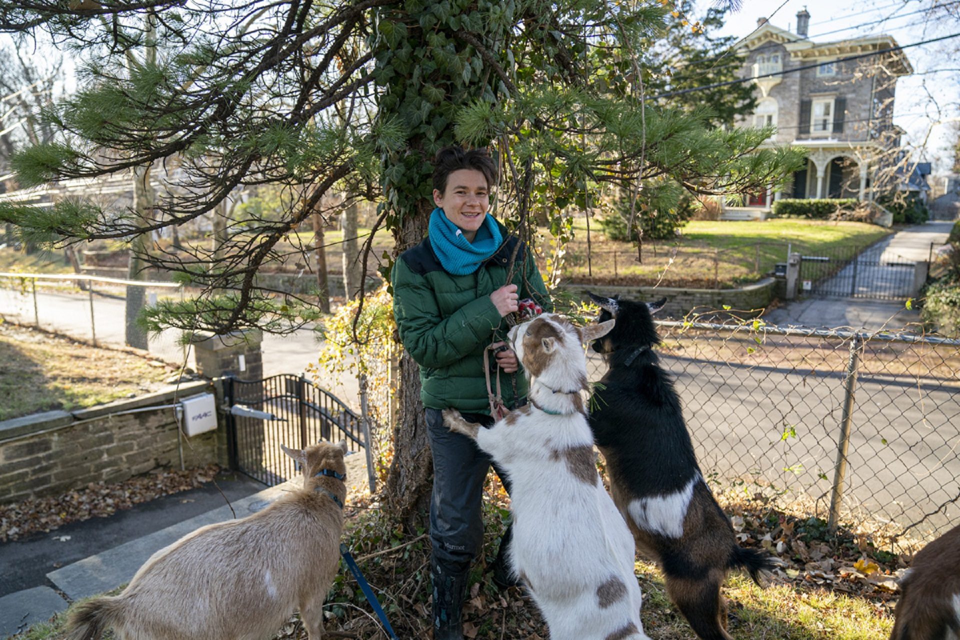 Lily Sage is assistant director of the Philly Goat Project. 