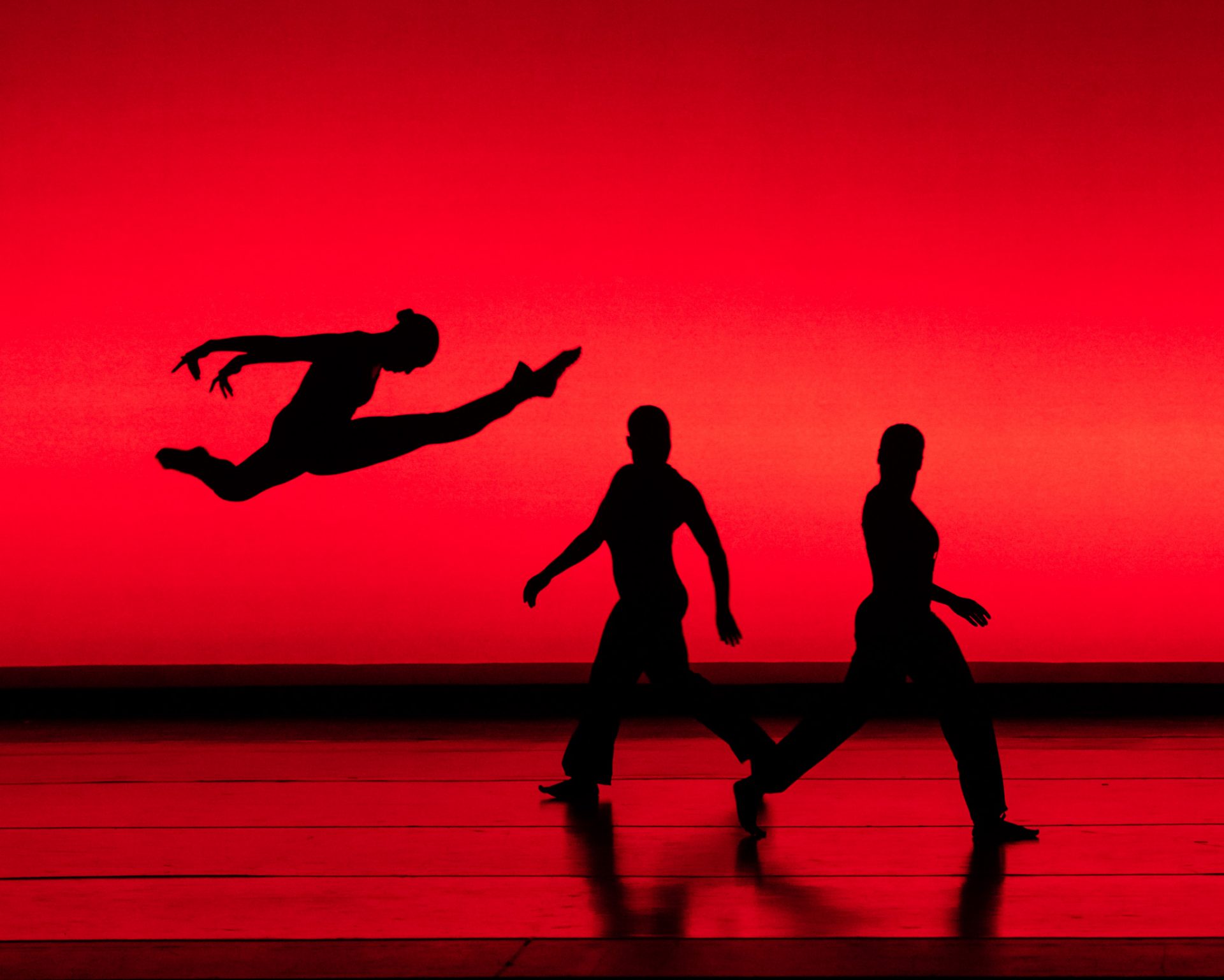Philadanco at the 32nd Annual International Conference and Festival of Blacks in Dance in Philadelphia.