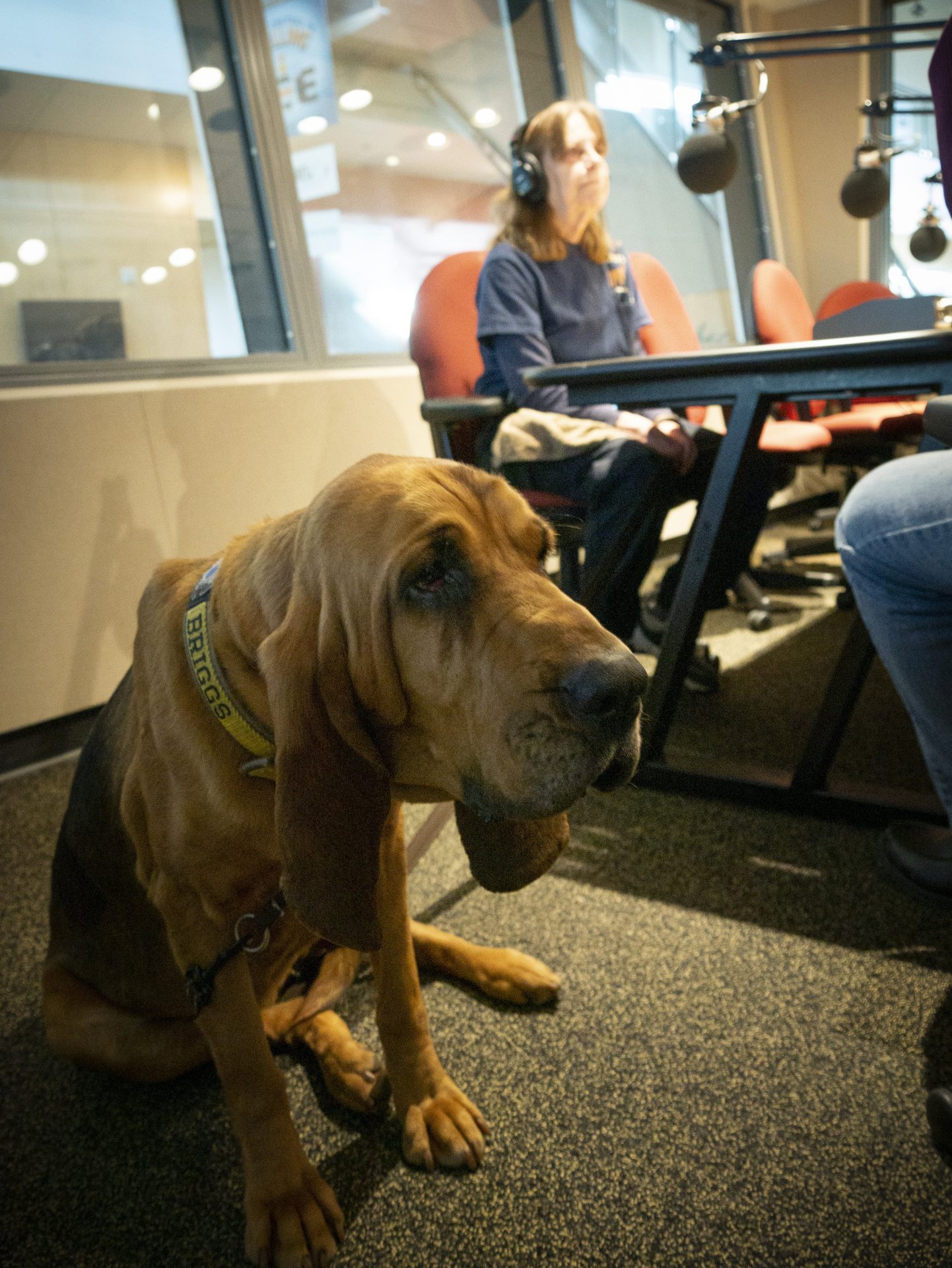 Detective K9 Briggs and Terri Heck appear on Smart Talk on January 24, 2020.
