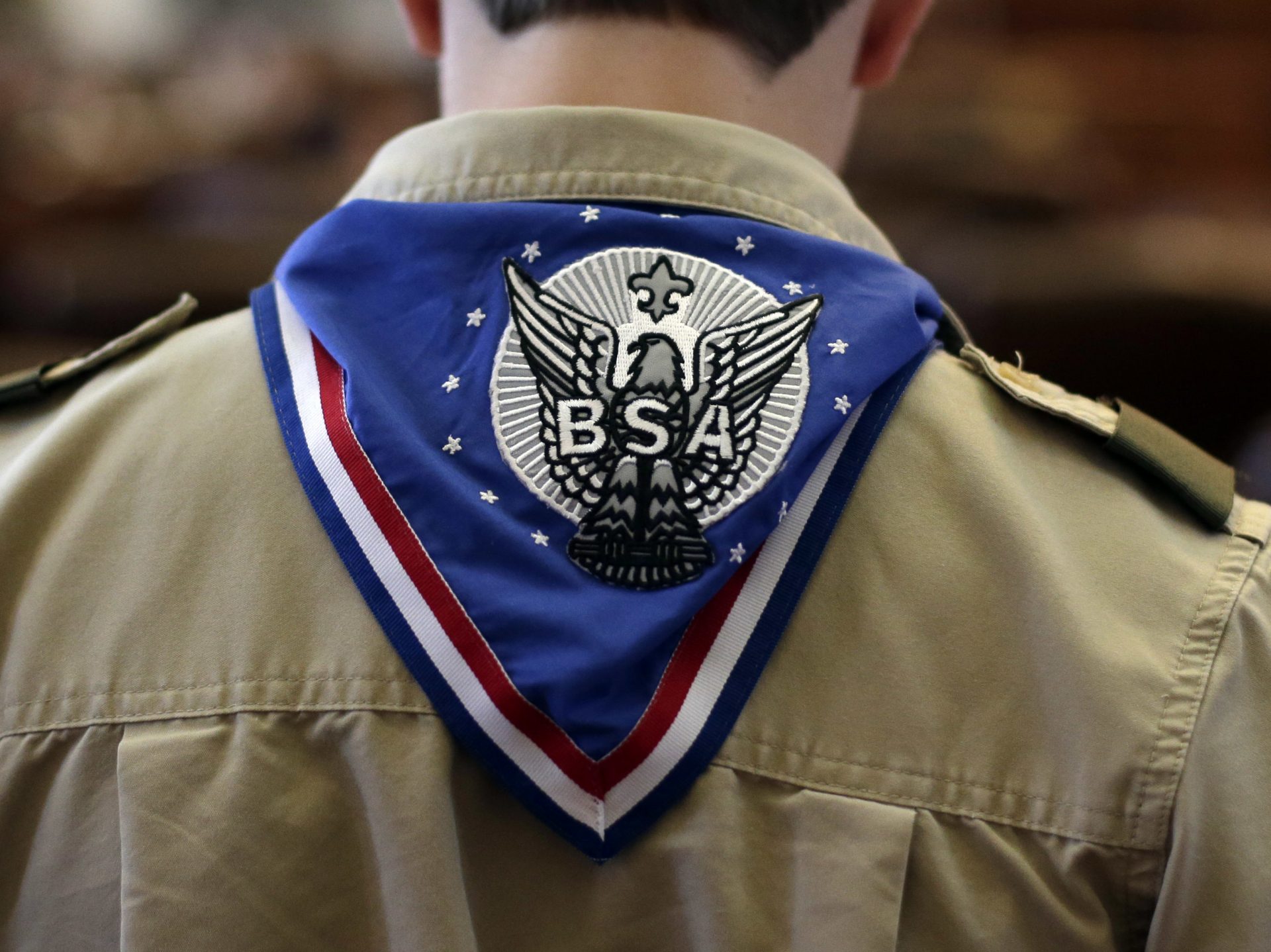 A Boy Scout wears an Eagle Scot neckerchief during the annual Boy Scouts Parade and Report to State in the House Chambers at the Texas State Capitol, February 2013, in Austin, Texas.