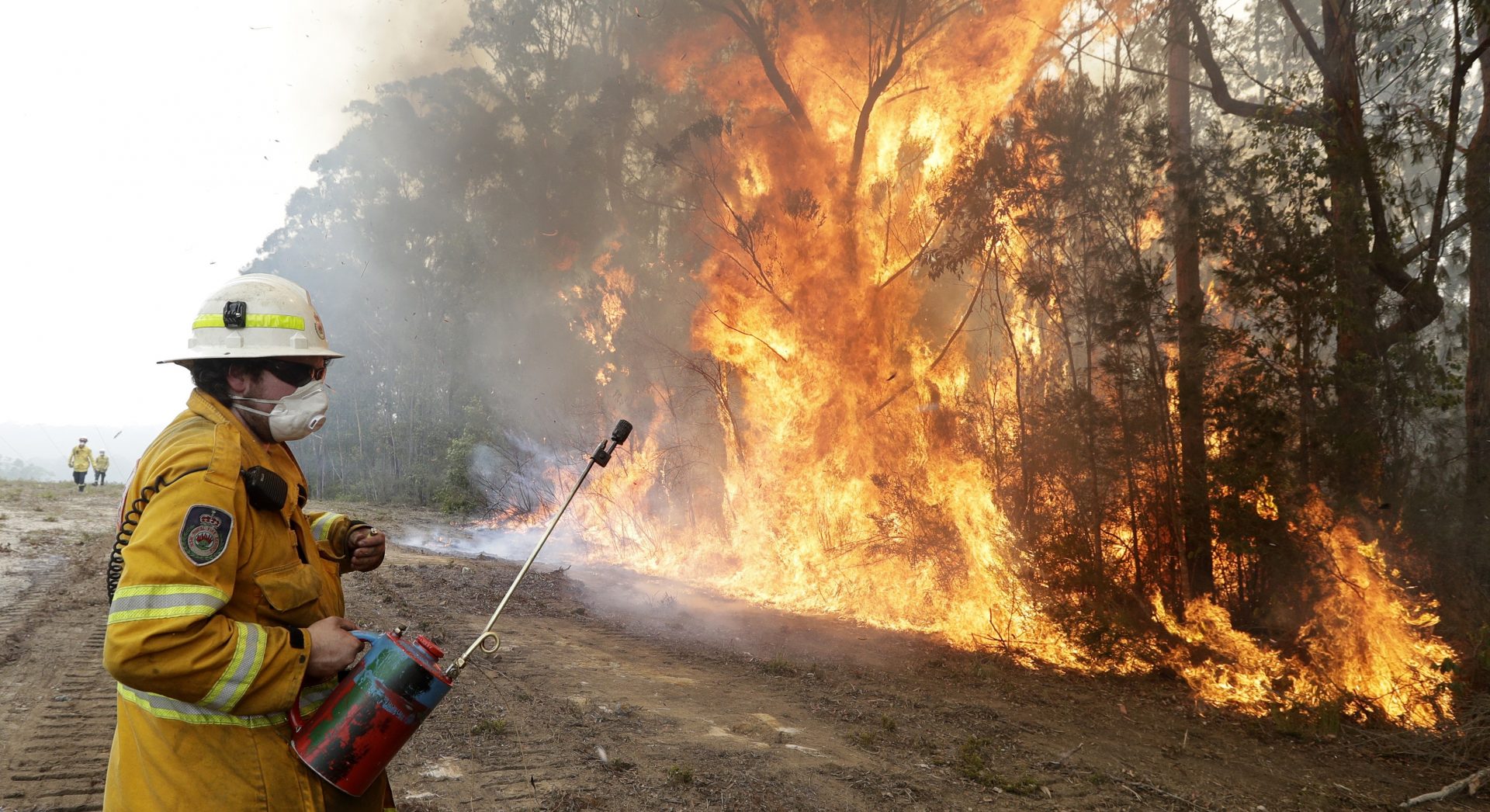 A firefighters backs away from the flames after lighting a controlled burn near Tomerong, Australia, Wednesday, Jan. 8, 2020, in an effort to contain a larger fire nearby. Around 2,300 firefighters in New South Wales state were making the most of relatively benign conditions by frantically consolidating containment lines around more than 110 blazes and patrolling for lightning strikes, state Rural Fire Service Commissioner Shane Fitzsimmons said.