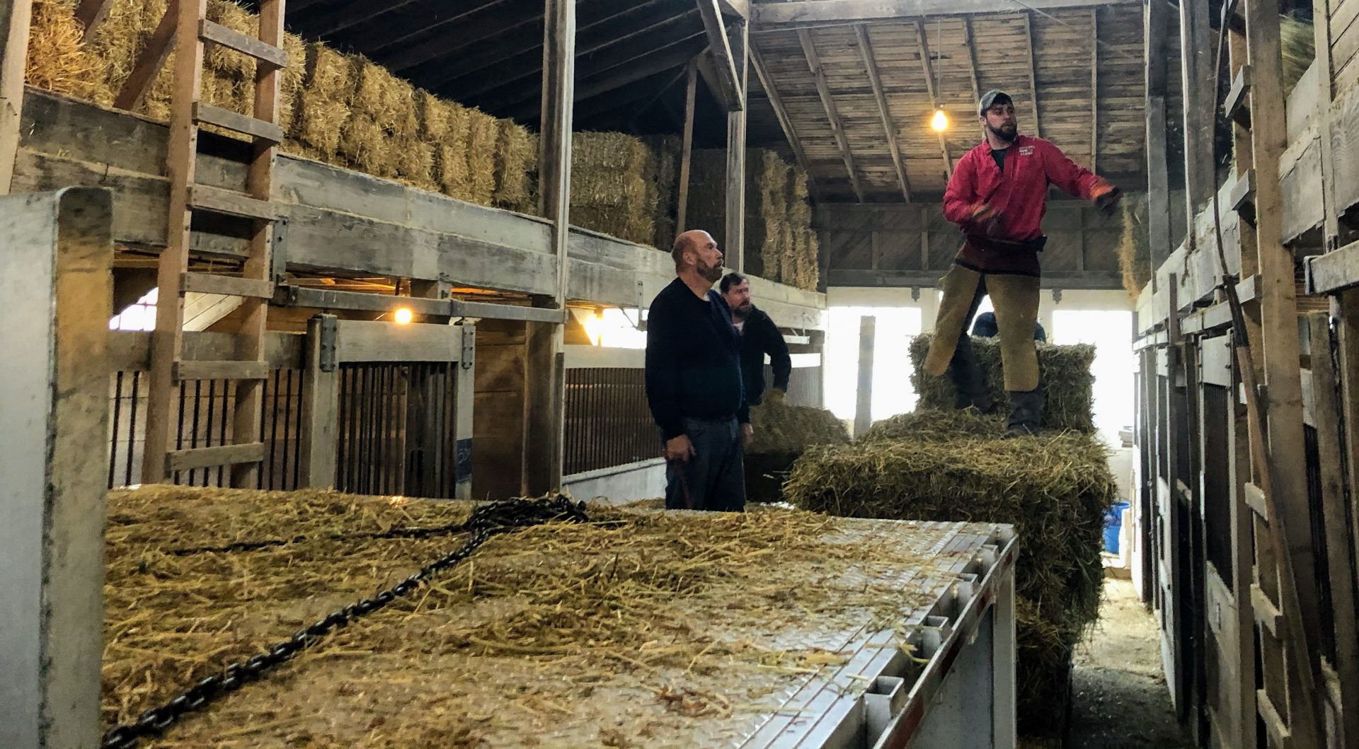 Workers unload hay at Hanover Shoe Farms on Feb. 11, 2020