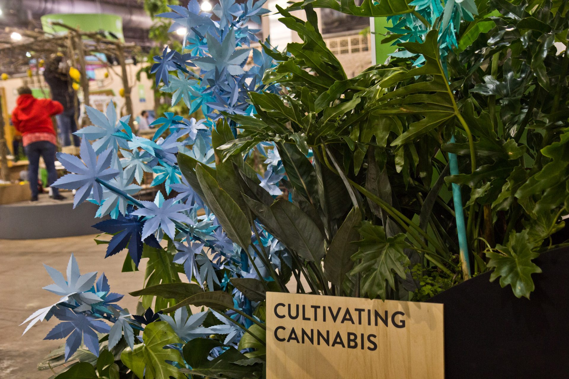 The 2020 Philadelphia Flower Show features the first exhibit dedicated to cannabis, without any actual cannabis plants.