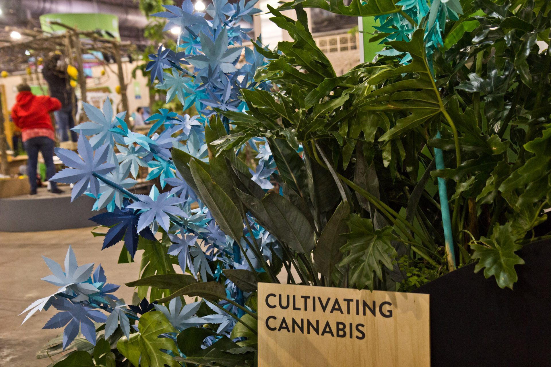 The 2020 Philadelphia Flower Show features the first exhibit dedicated to cannabis, without any actual cannabis plants.