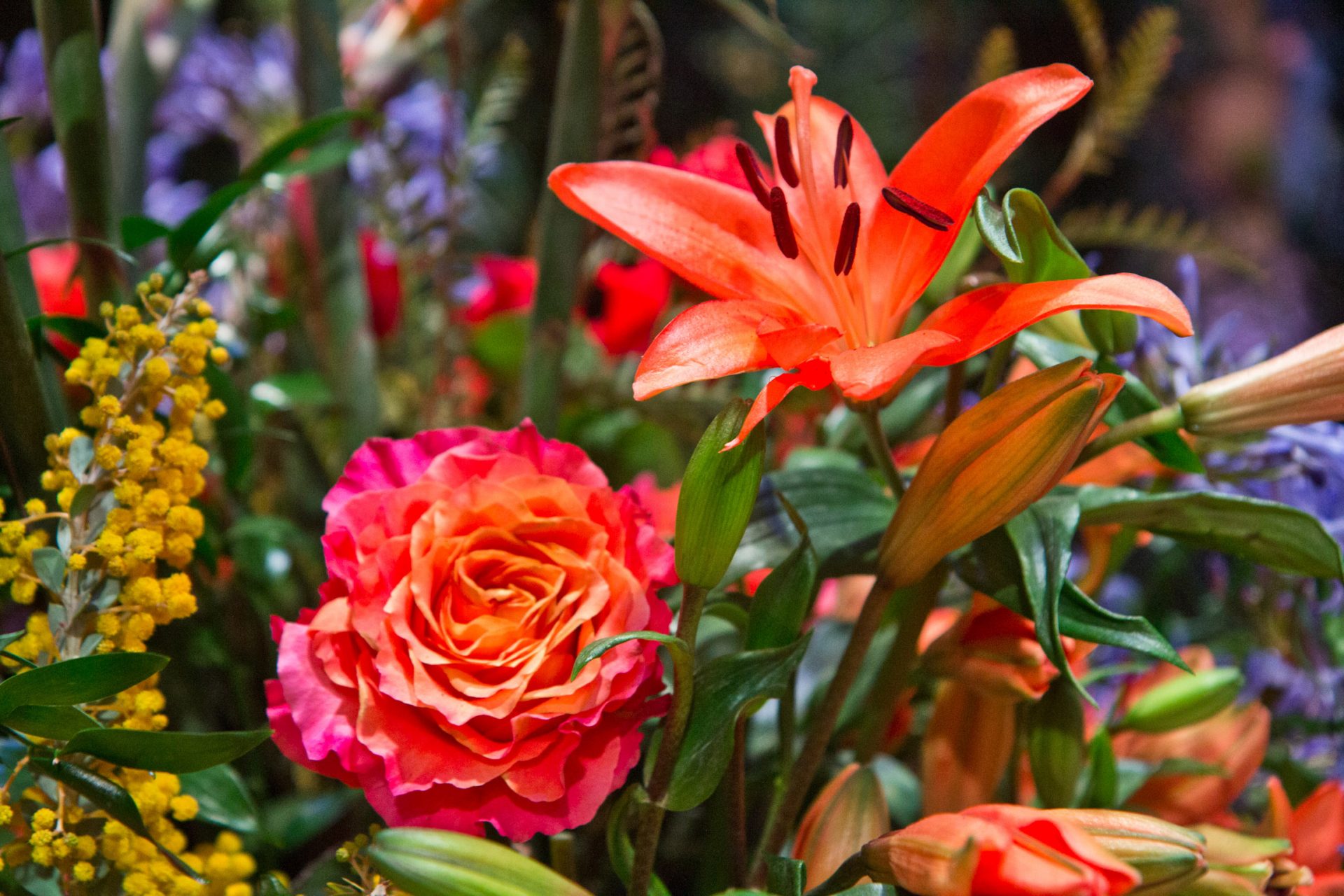 Flowers atop the main exhibit of the 2020 Philadelphia Flower Show, themed “Rivera Holiday.”