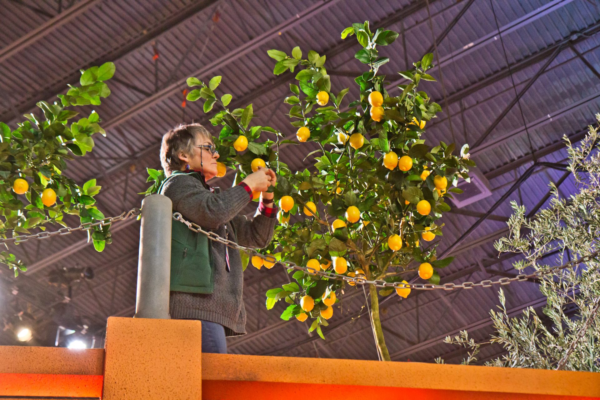 PHS staff work to finish the main exhibit of the Philadelphia Flower Show Thursday.