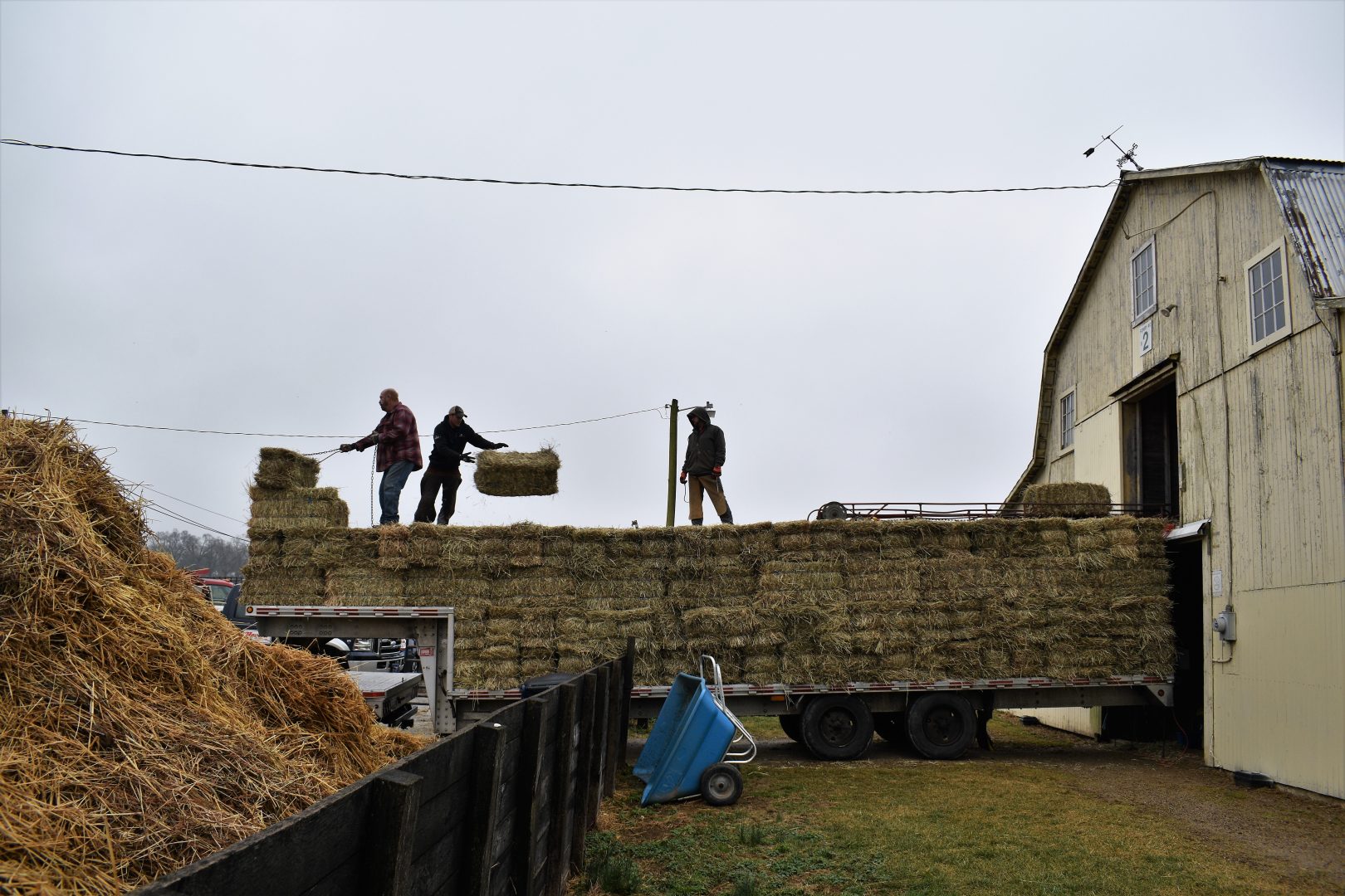 Workers unload hay at Hanover Shoe Farms in Adams County on Feb. 11, 2020.