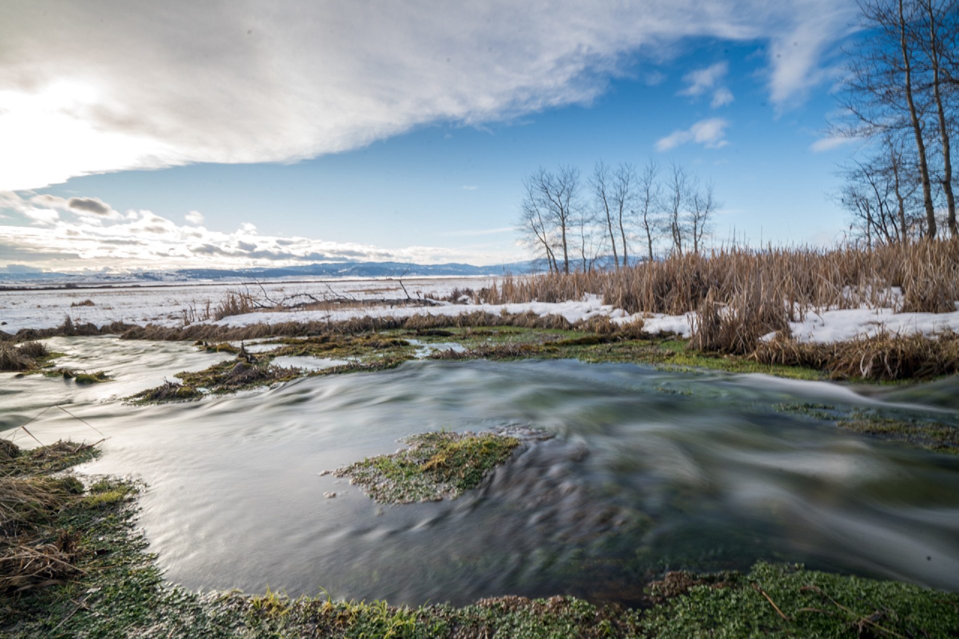 Nevada Spring Creek was once cut off to irrigate a ranch in the Blackfoot Valley. Now, through a restoration effort involving a wetland mitigation bank, its natural connectivity has been restored.
