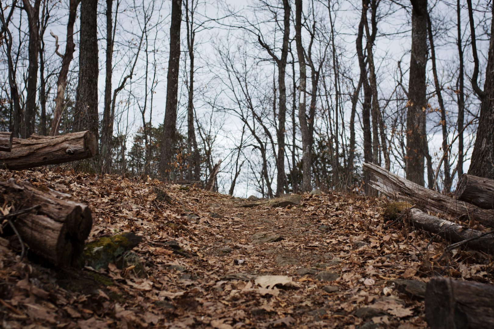 The Appalachian Trail in central Virginia, near where the proposed Atlantic Coast Pipeline would cross. The trail stretches from Georgia to Maine and is hiked by more than a million people each year.
