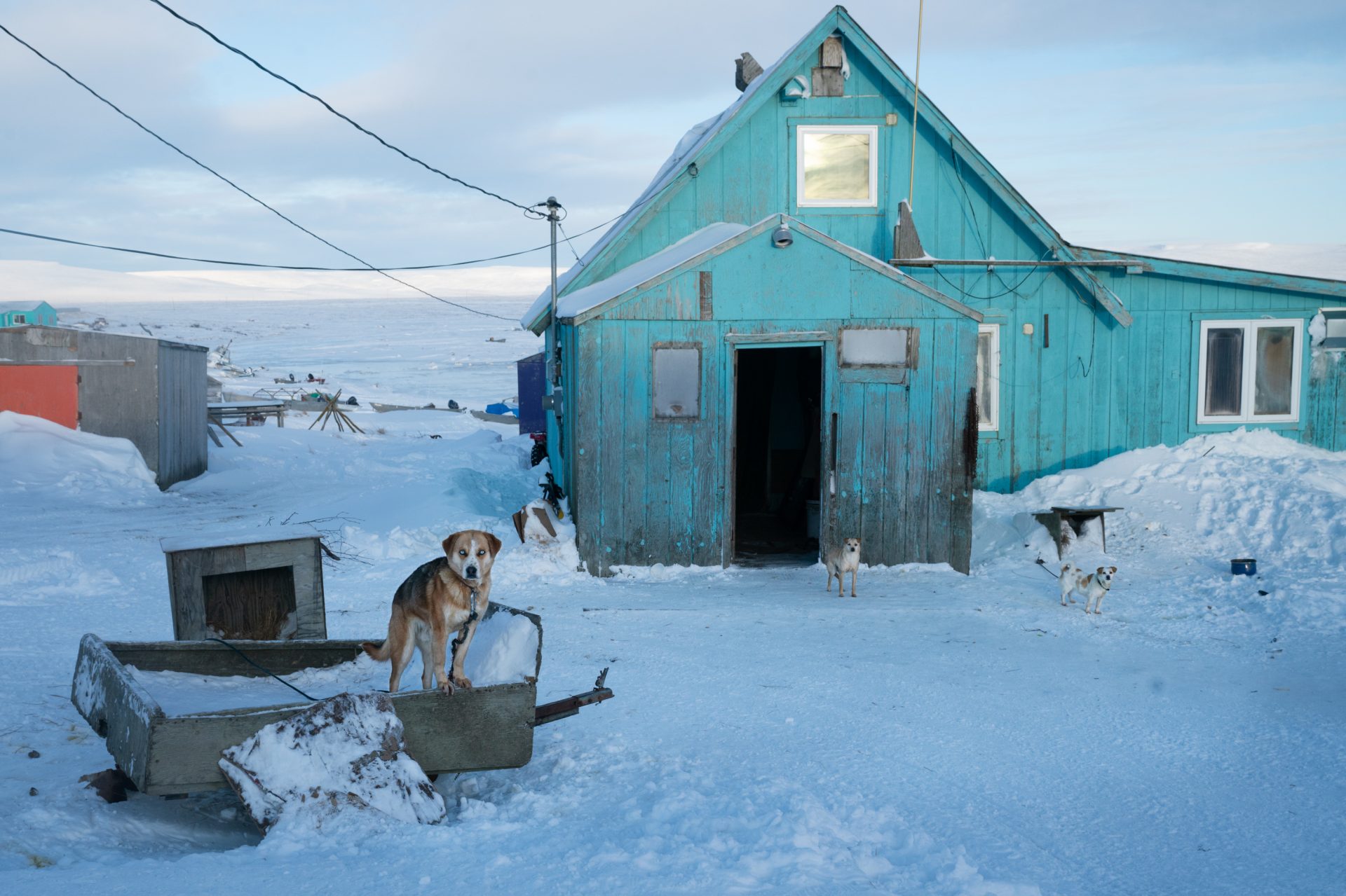 Older residents still remember when they moved their homes, pulled by dog sled, from neighboring Nightmute, Alaska, to make what was once a fishing camp into a permanent settlement. Now dogs abound, but the moving of goods is mainly done with snow machines and all-terrain vehicles.