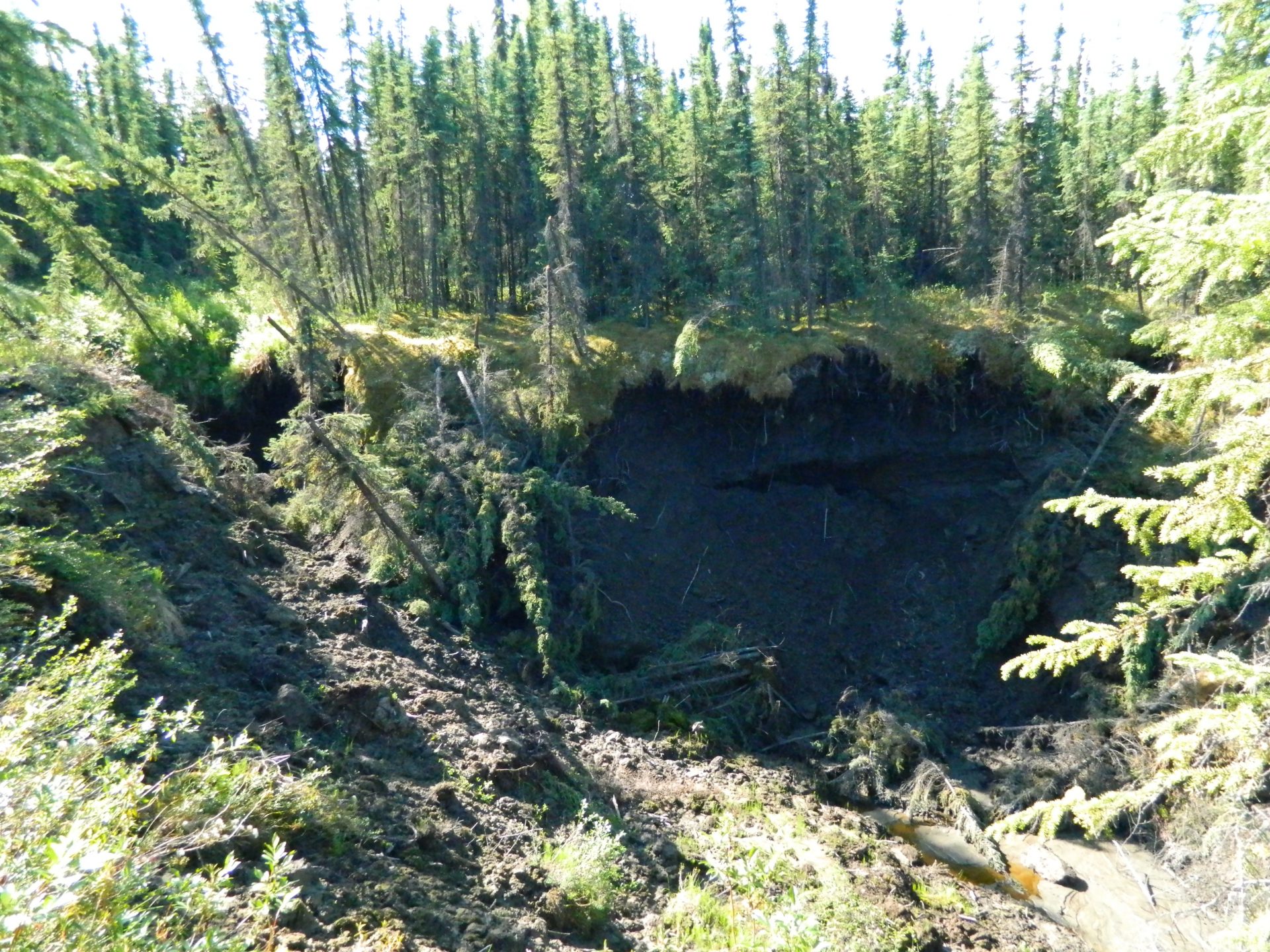 Jeff Pederson noticed a sink hole forming just north of Fairbanks, Alaska.