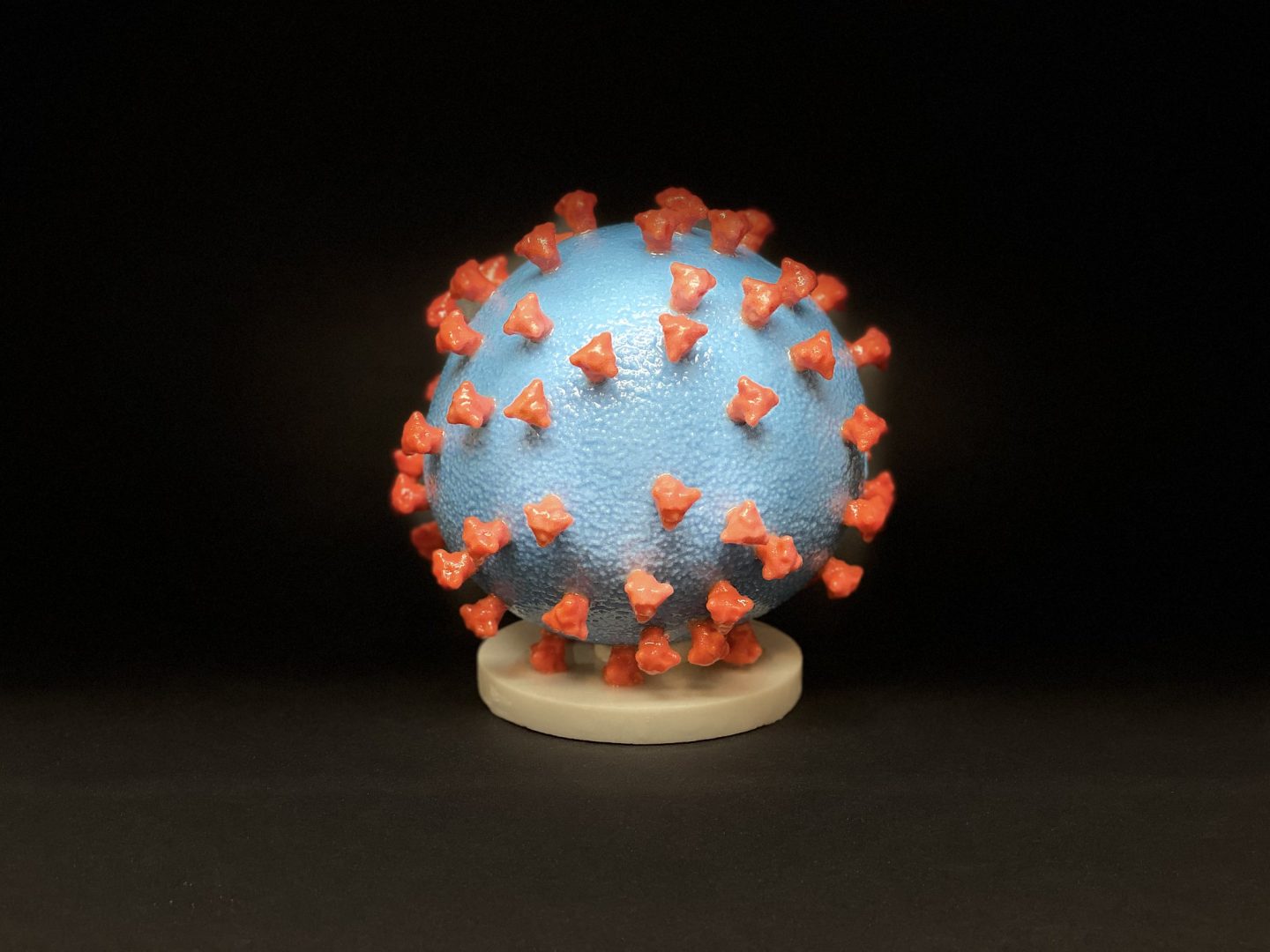 3D print of a SARS-CoV-2—also known as 2019-nCoV, the virus that causes COVID-19—virus particle. The virus surface (blue) is covered with spike proteins (red) that enable the virus to enter and infect human cells.