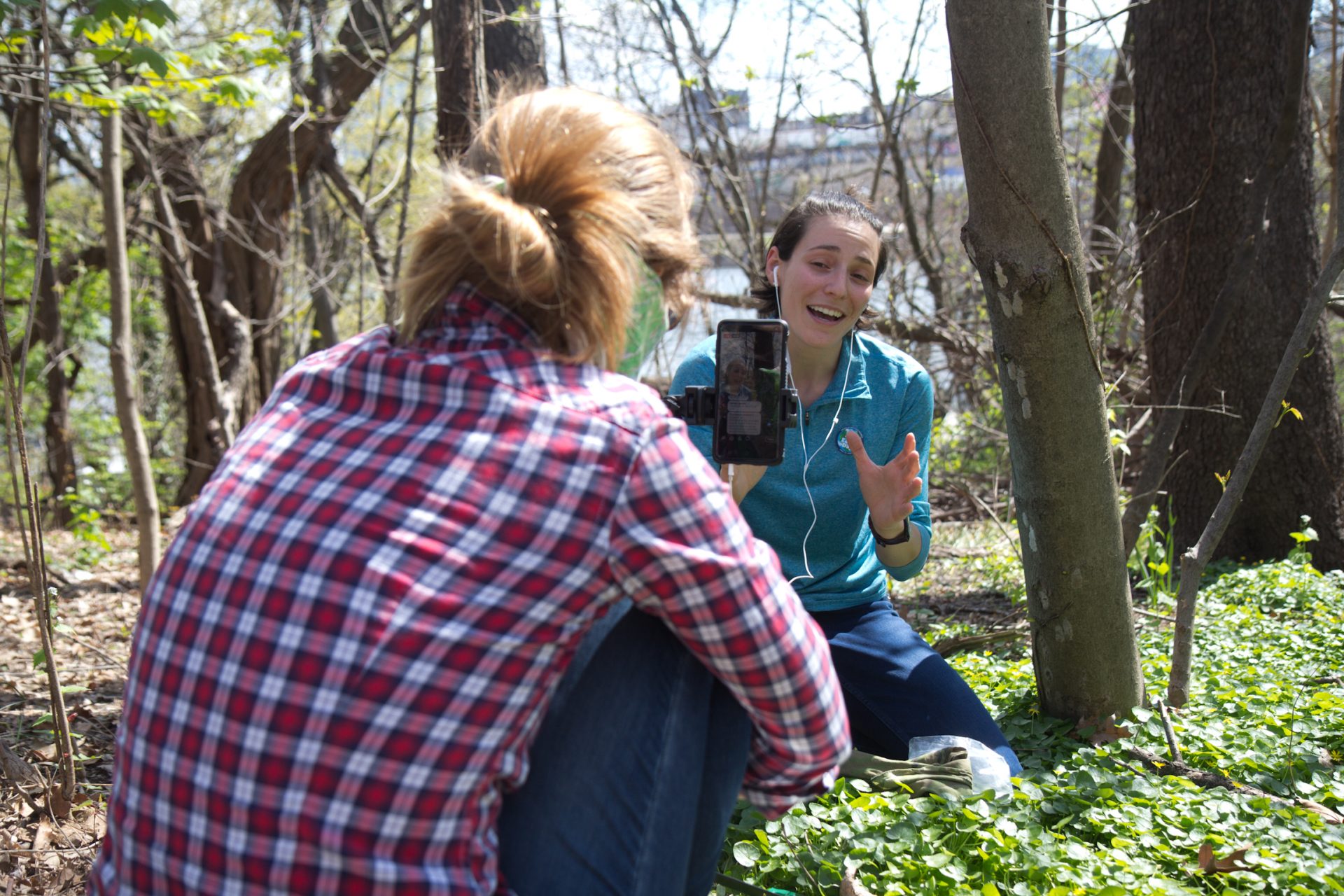 Rachel Valletta, Director of the Climate and Urban Systems Partnership at the Franklin Institute and her partner Amy Bond, live streamed an instructional video to show people how to remove the eggs of the spotted lantern fly from vulnerable trees.