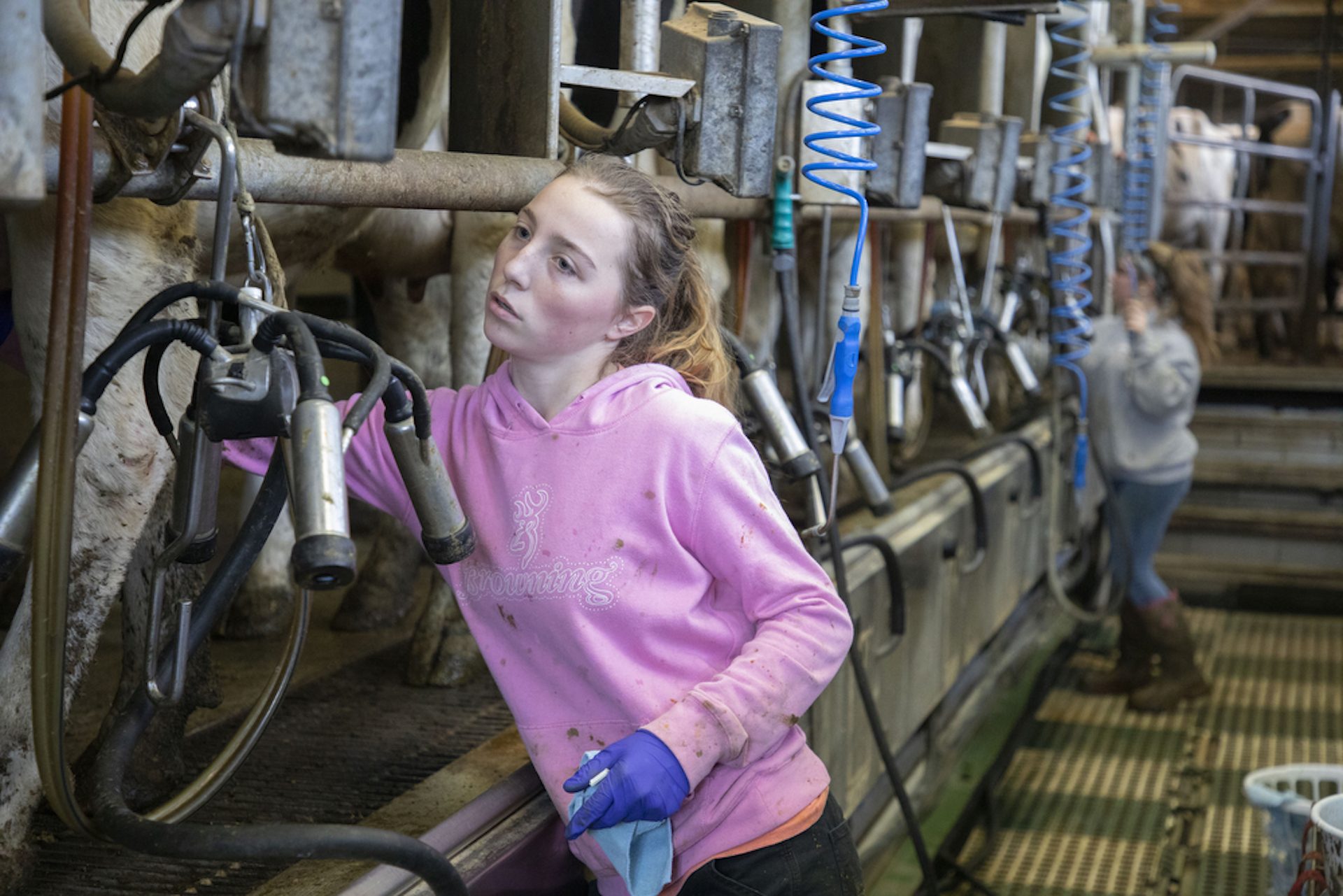 Marrimart Farms workers Kiana Stauffer, left, and Summer Bloom attach milking machines to 260 Holstein cows three times a day on the Loysville, Pa., farm, Apr. 11, 2020.