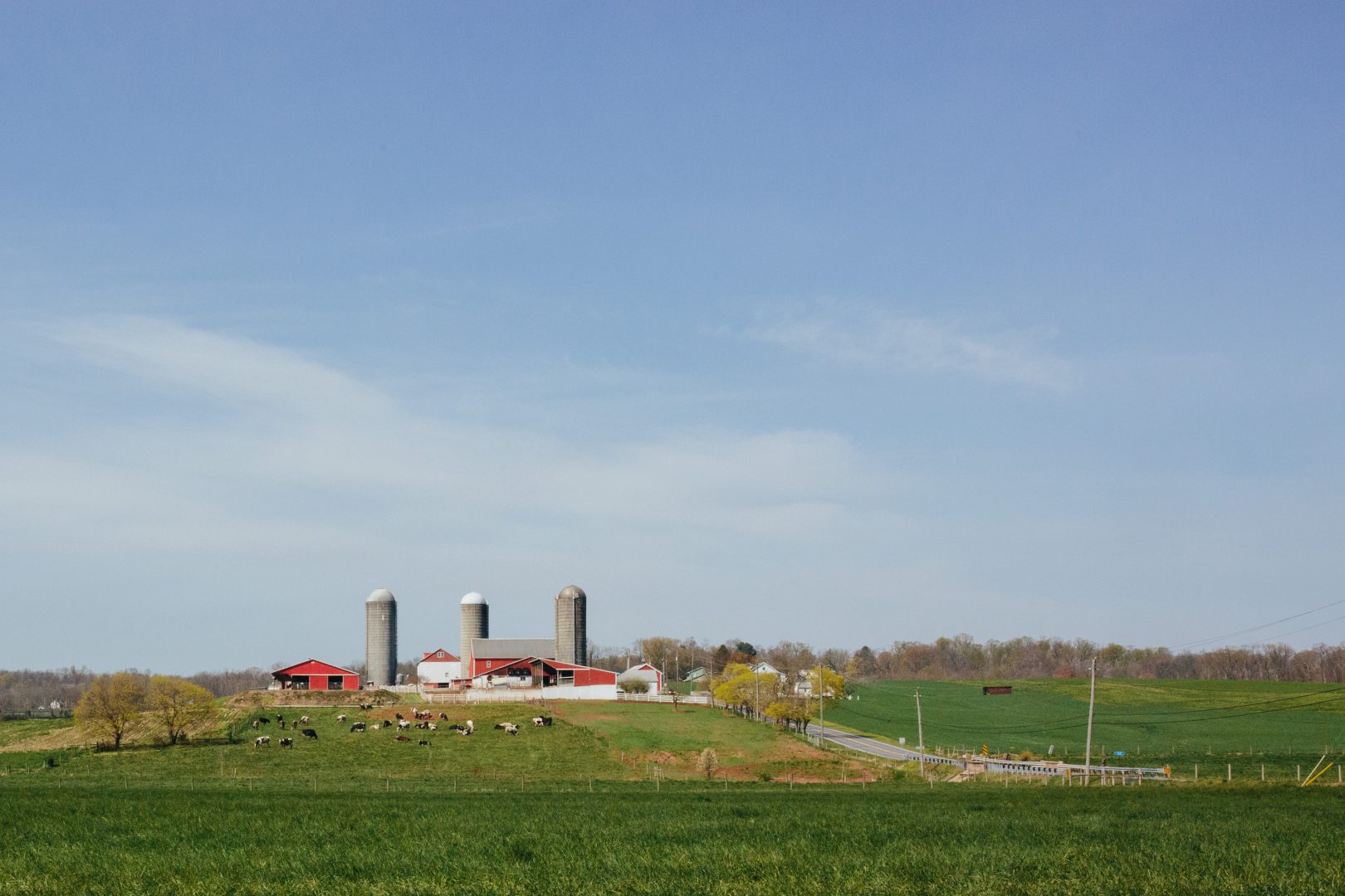A farm in Lancaster County. 
