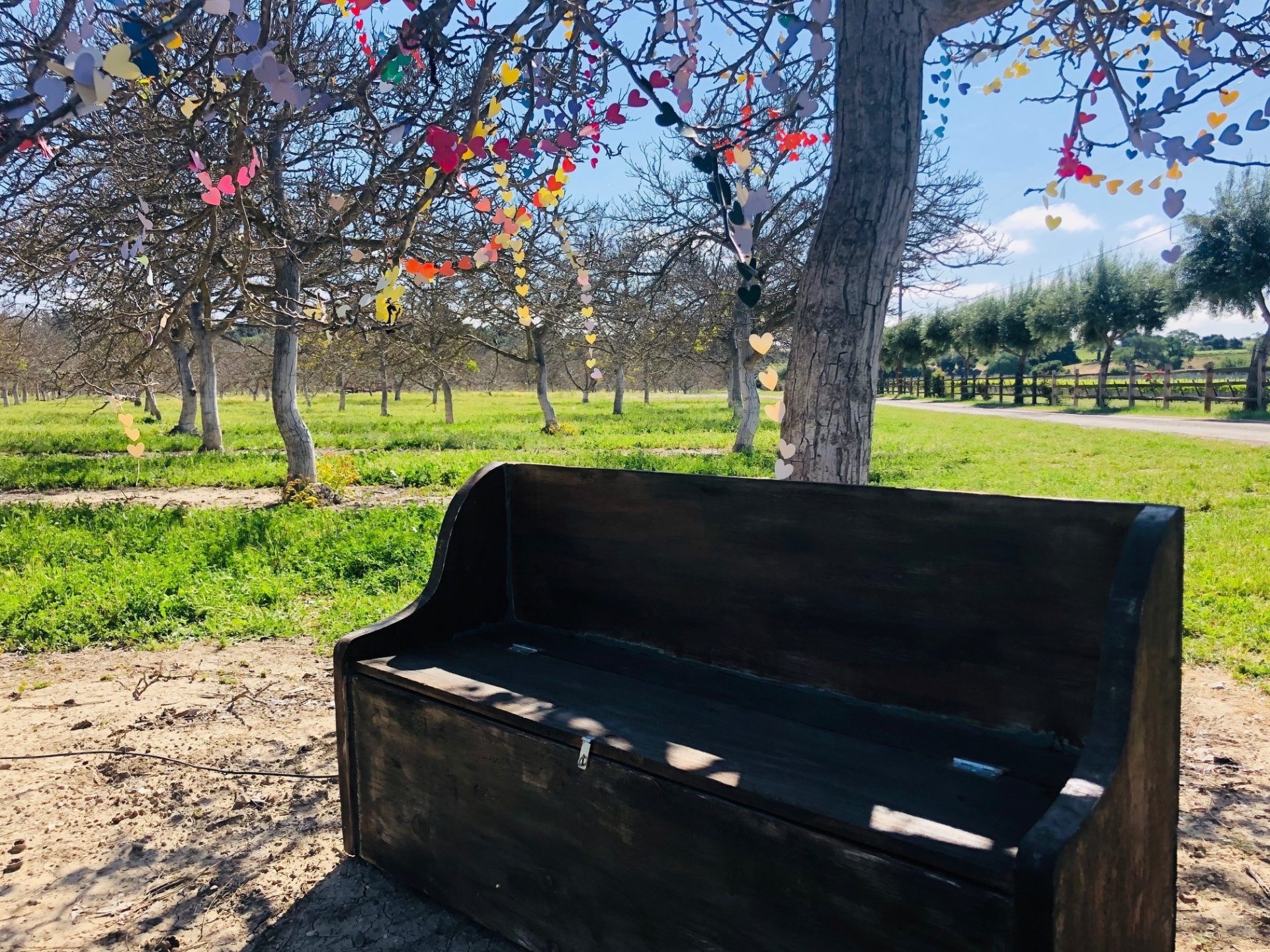 The bench underneath the tree encourages passersby to sit and reflect. “Each heart is not just one person, but a whole family connected to that one person who is gone,” Guynn says.