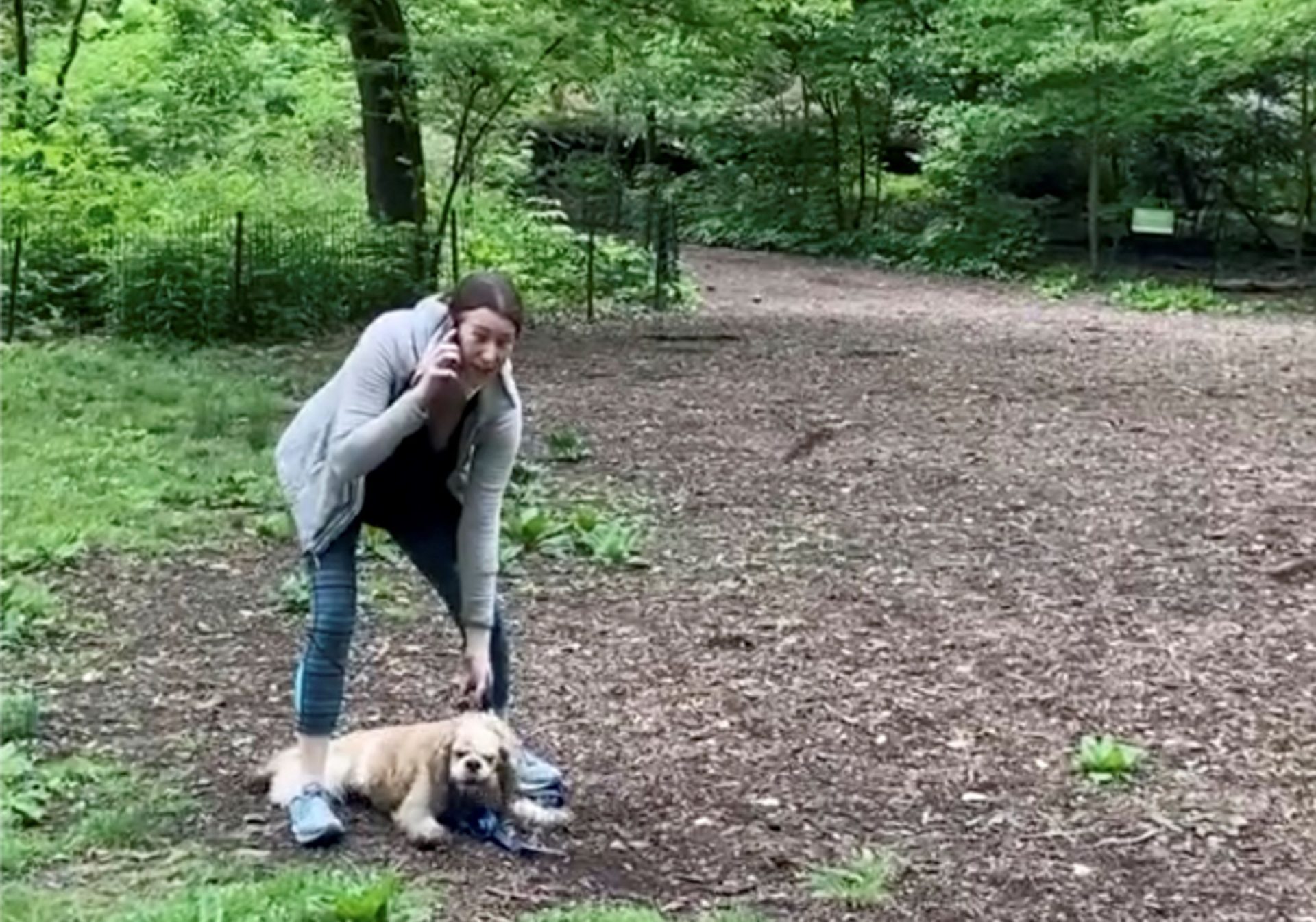 This image made from Monday, May 25, 2020, video provided by Christian Cooper shows Amy Cooper with her dog calling police at Central Park in New York. A video of a verbal dispute between Amy Cooper, walking her dog off a leash and Christian Cooper, a black man bird watching in Central Park, is sparking accusations of racism.