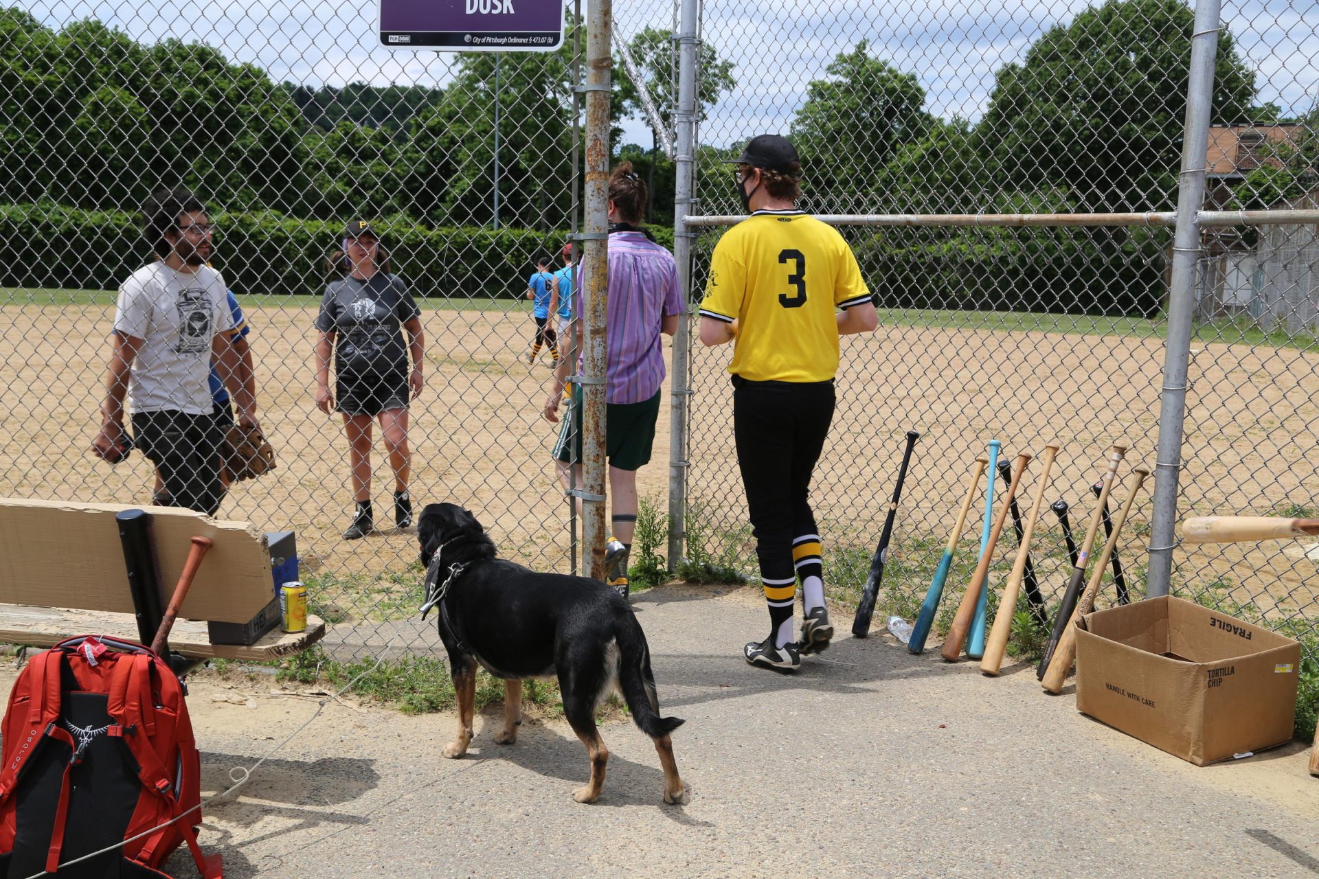 Dock Ellis League players take to the field on Sunday, June 12, 2020, as Bella the dog looks on.