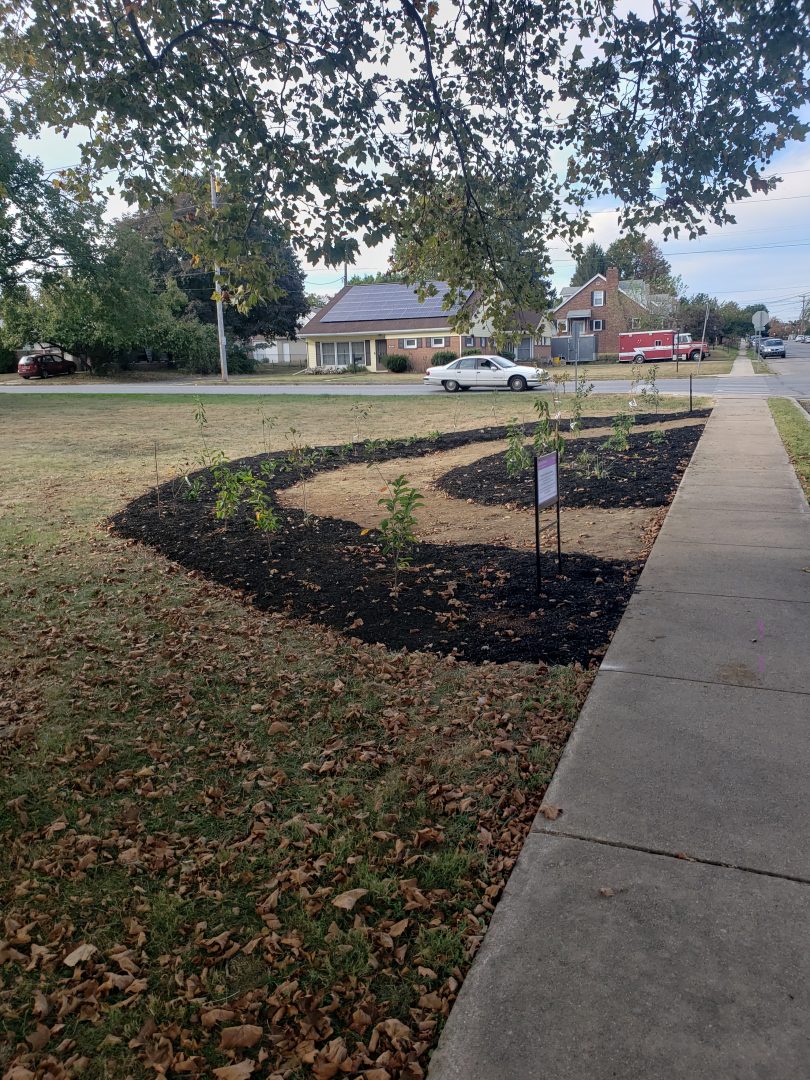 A community garden in York as it looked shortly after it was created in September 2019. The garden, on Atlantic Avenue near Lincoln Park in the city, is intended to benefit both nature and the surrounding neighborhood.