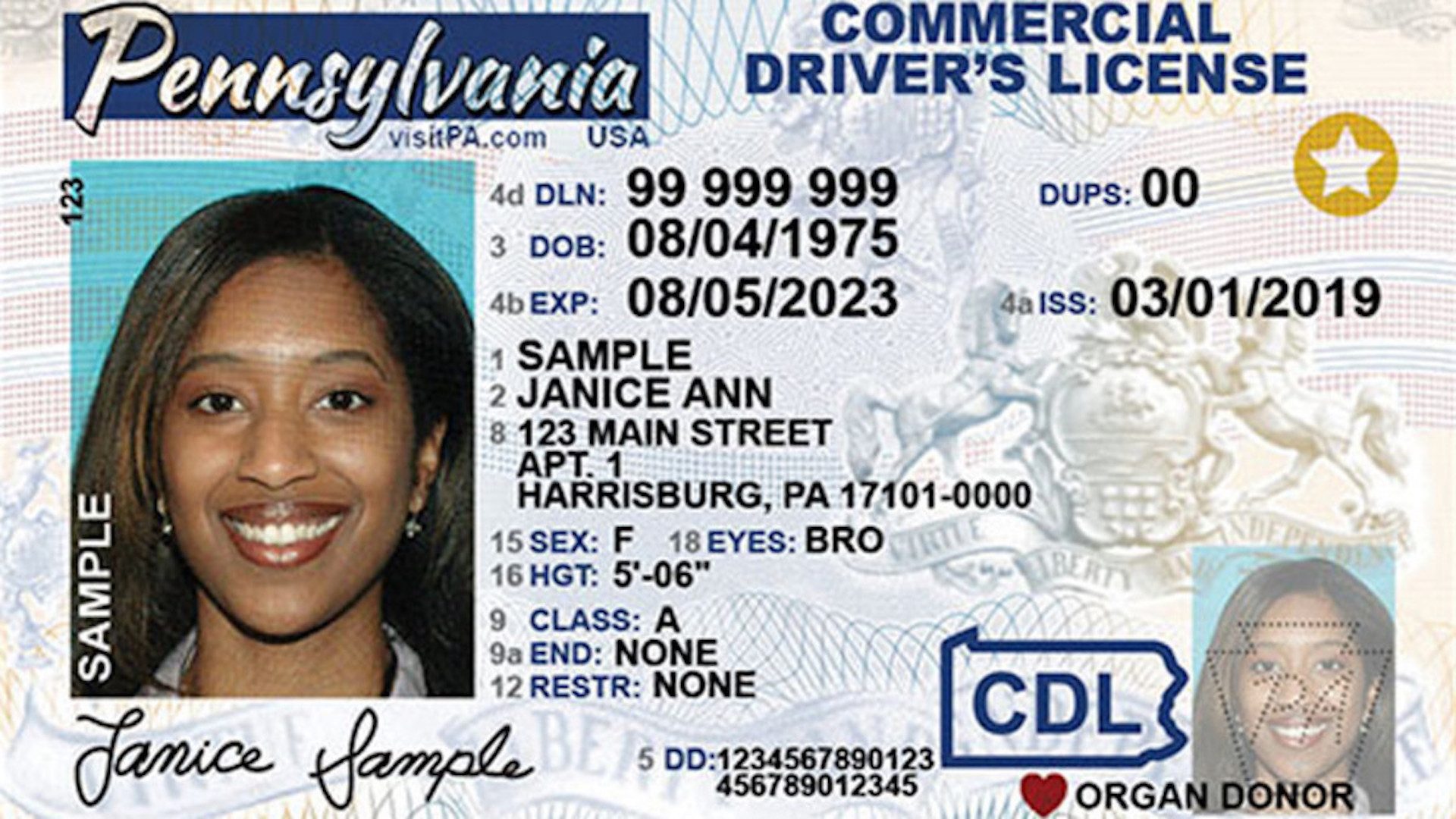 A REAL ID driver’s license sample for Pennsylvania.