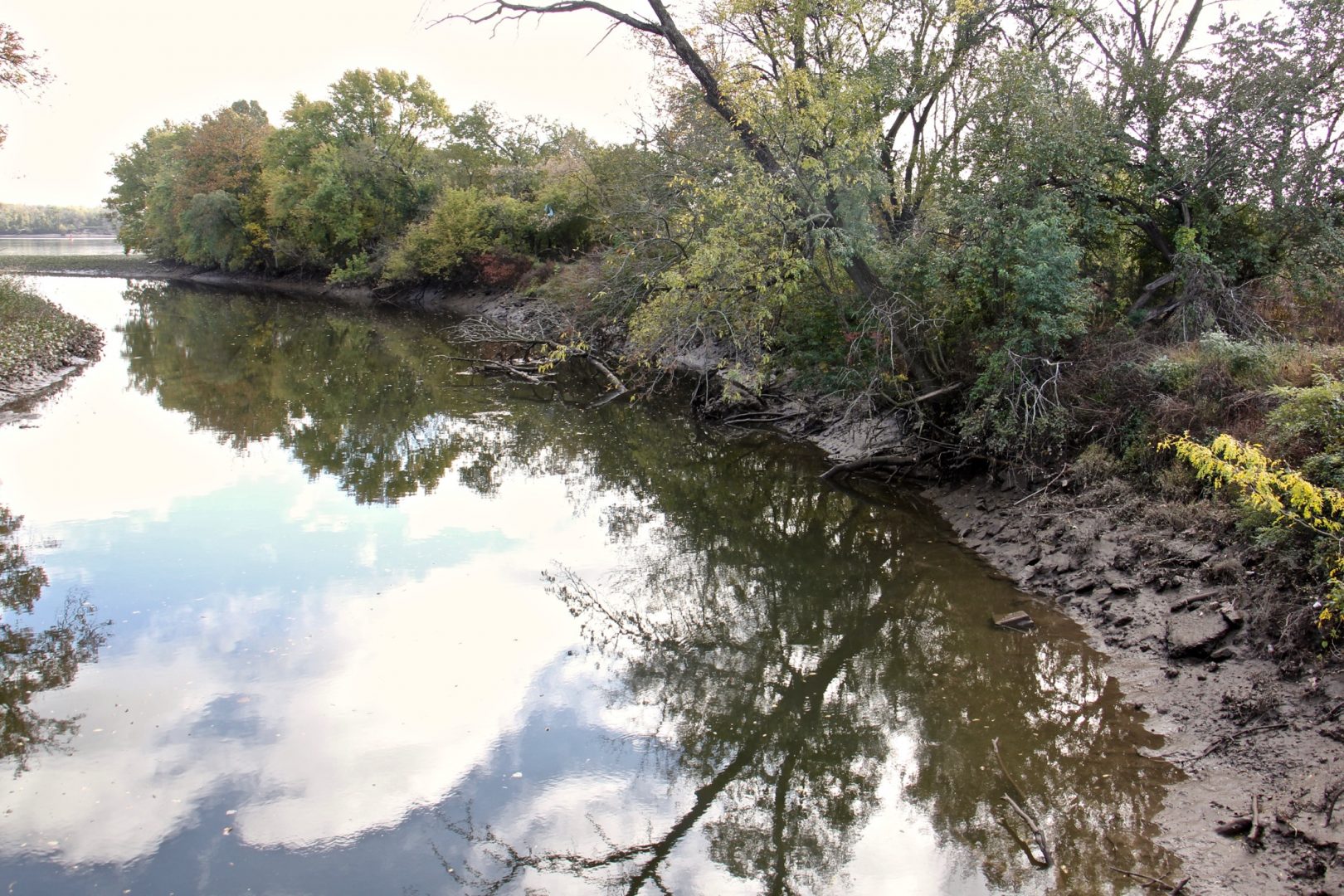 Toppled trees, rushing stormwater: What's causing erosion along the region's creeks and streams? - witf.org