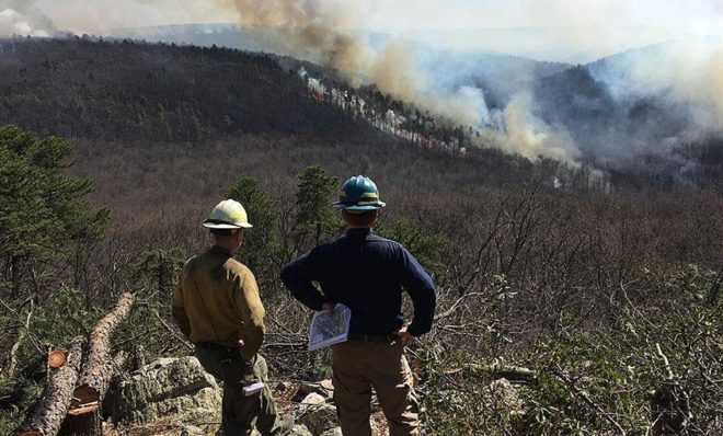 This file photo shows a prescribed burn undertaken by the Department of Conservation and Natural Resources.