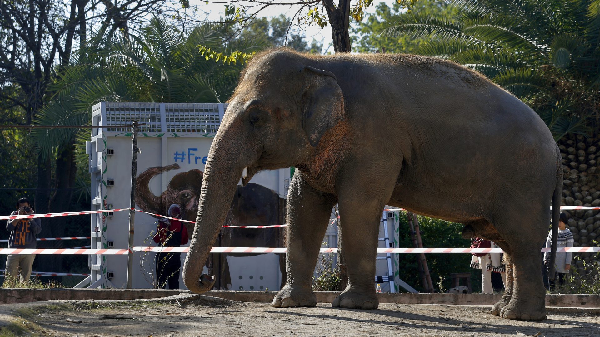 Yes, Animals Think And Feel. Here's How We Know