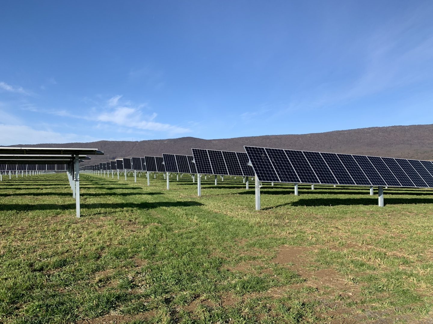 This solar field in Lurgan Township, Franklin County provides power to Penn State. Panels are seen here on Nov. 24, 2020. 