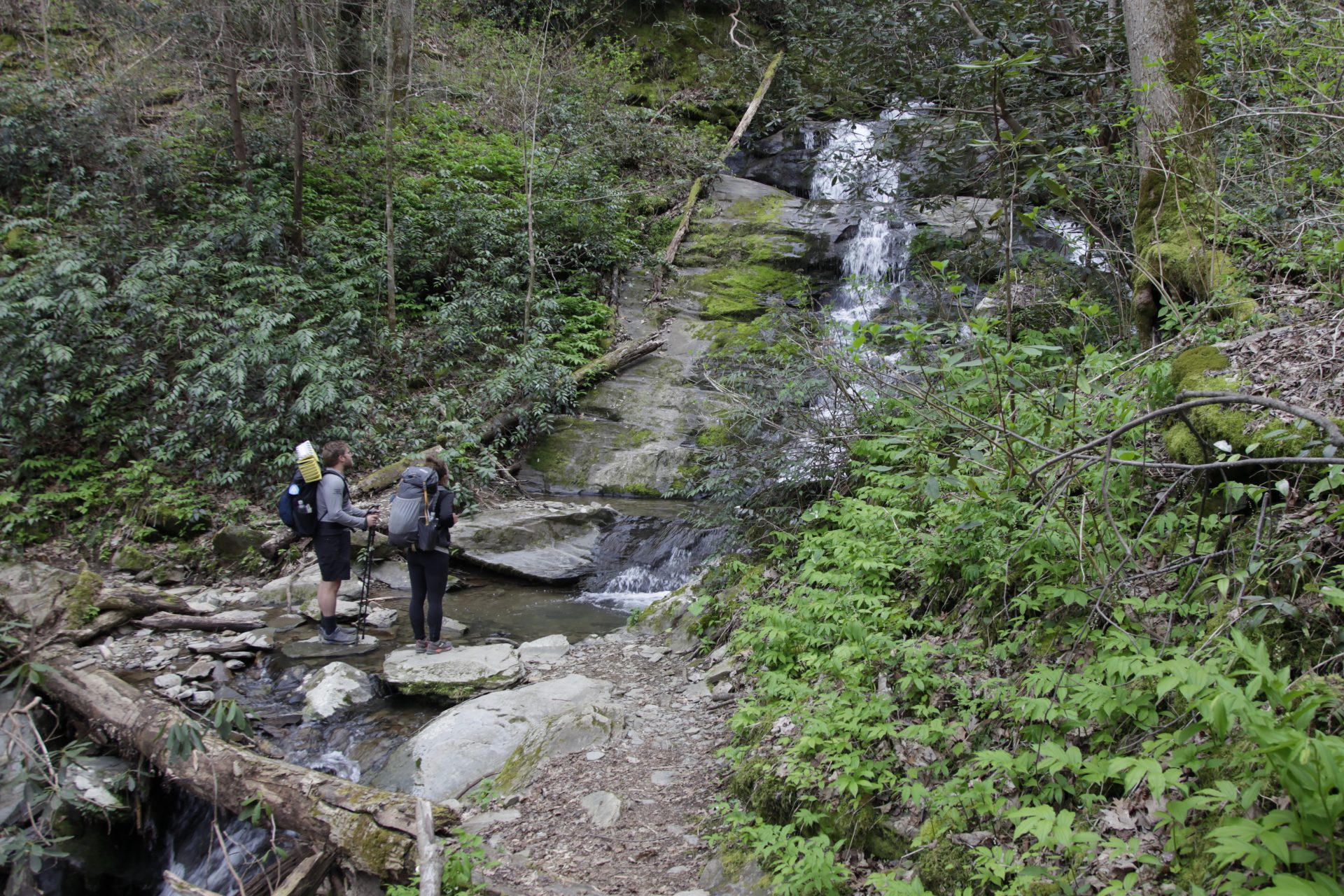 FILE PHOTO: In this March 30, 2020, photo, Alexandra Eagle, right, and Jonathan Hall stand in front of a waterfall on the Appalachian Trail in Cosby, Tenn. The couple planned the to hike from Georgia to Maryland until coronavirus concerns forced them off the trail.