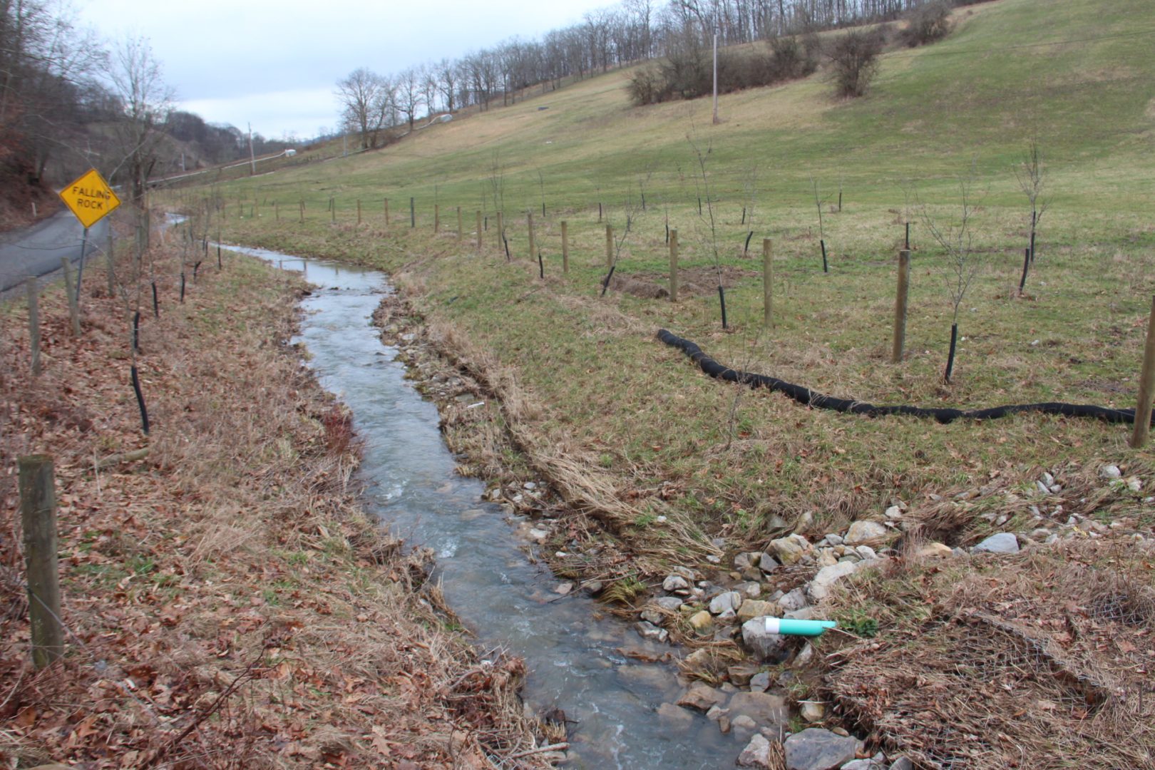 A stretch of Polen Run, a Greene County stream undermined by Consol Energy, that the company repaired after subsidence. 
