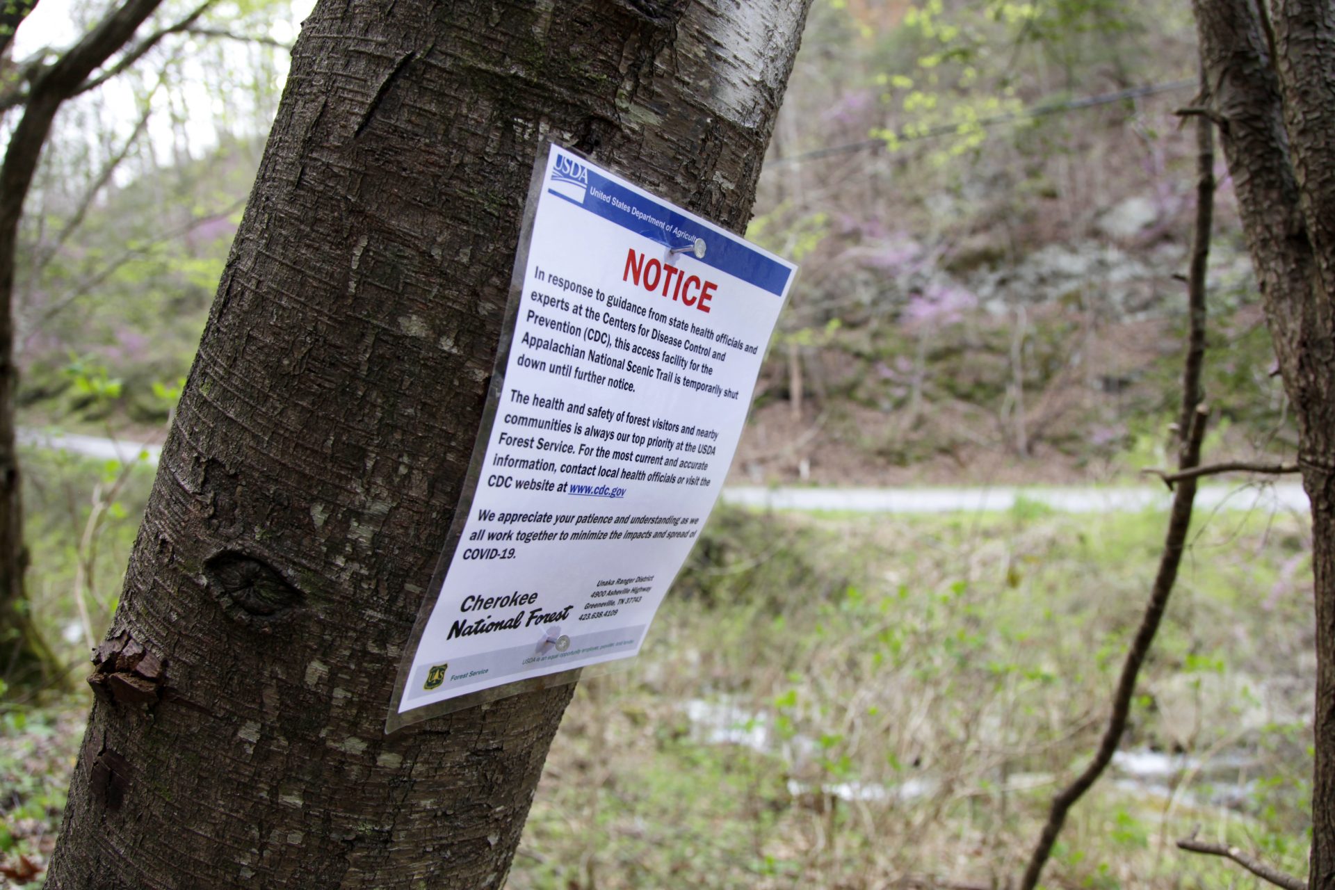In this March 30, 2020, photo, a notice is nailed to a tree along a portion of the Appalachian Trail in Cosby, Tenn. Hikers have been asked to leave the trail immediately as trailheads continue to close due to the coronavirus outbreak.