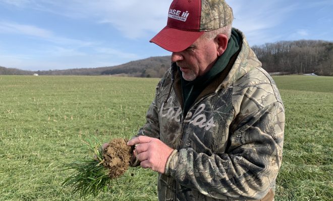Dave McLaughlin's farm fields, seen here on January 13, 2021, are almost always green because of his use of cover crops. 