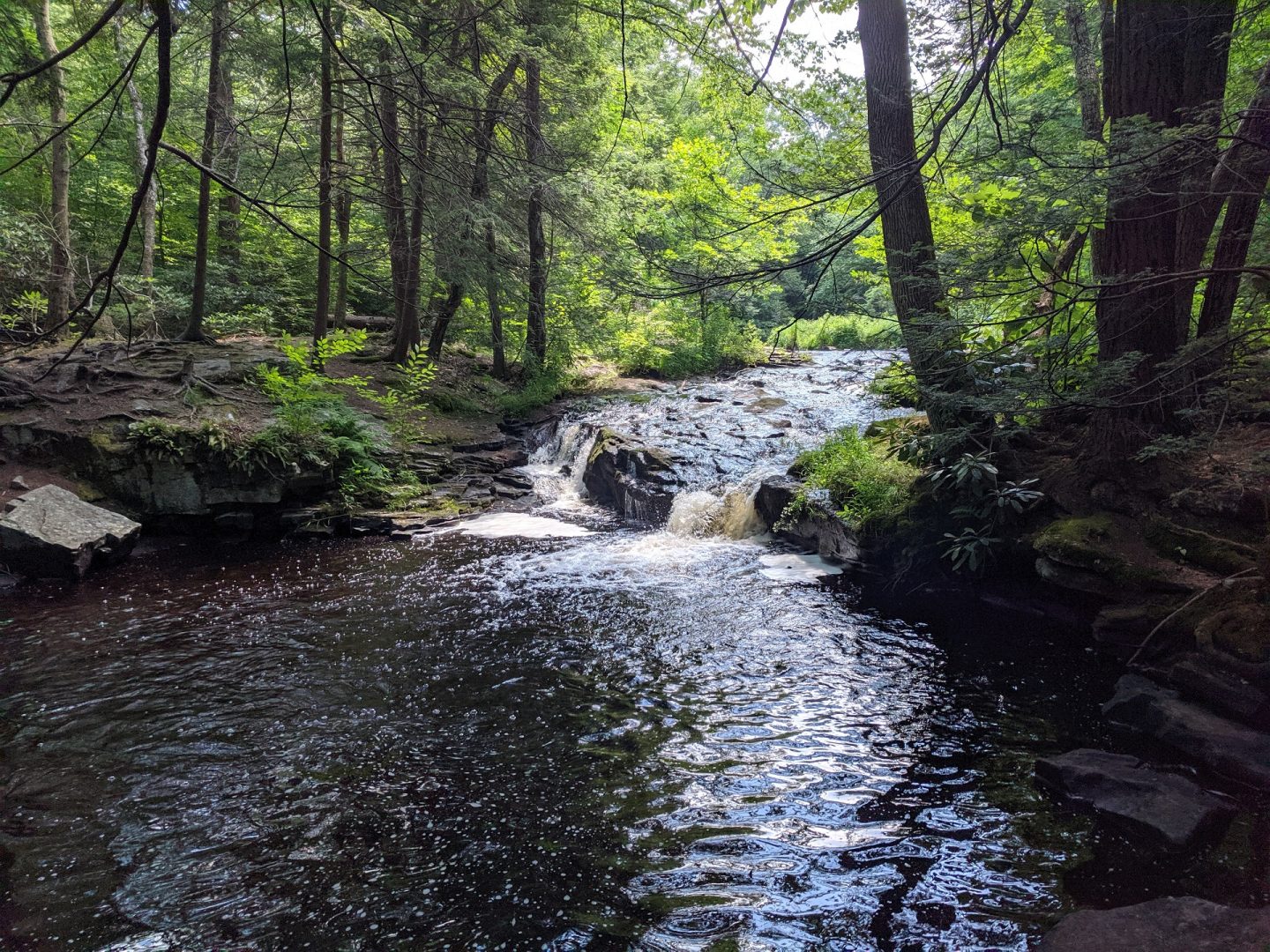 The east branch of Wallenpaupack Creek runs through Promised Land State Park in Pike County.