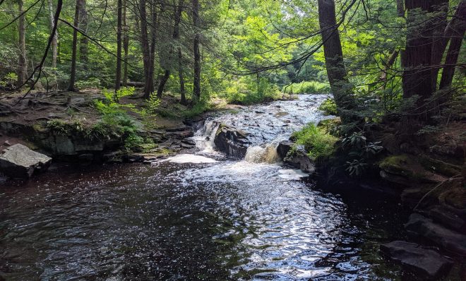 The east branch of Wallenpaupack Creek runs through Promised Land State Park in Pike County.