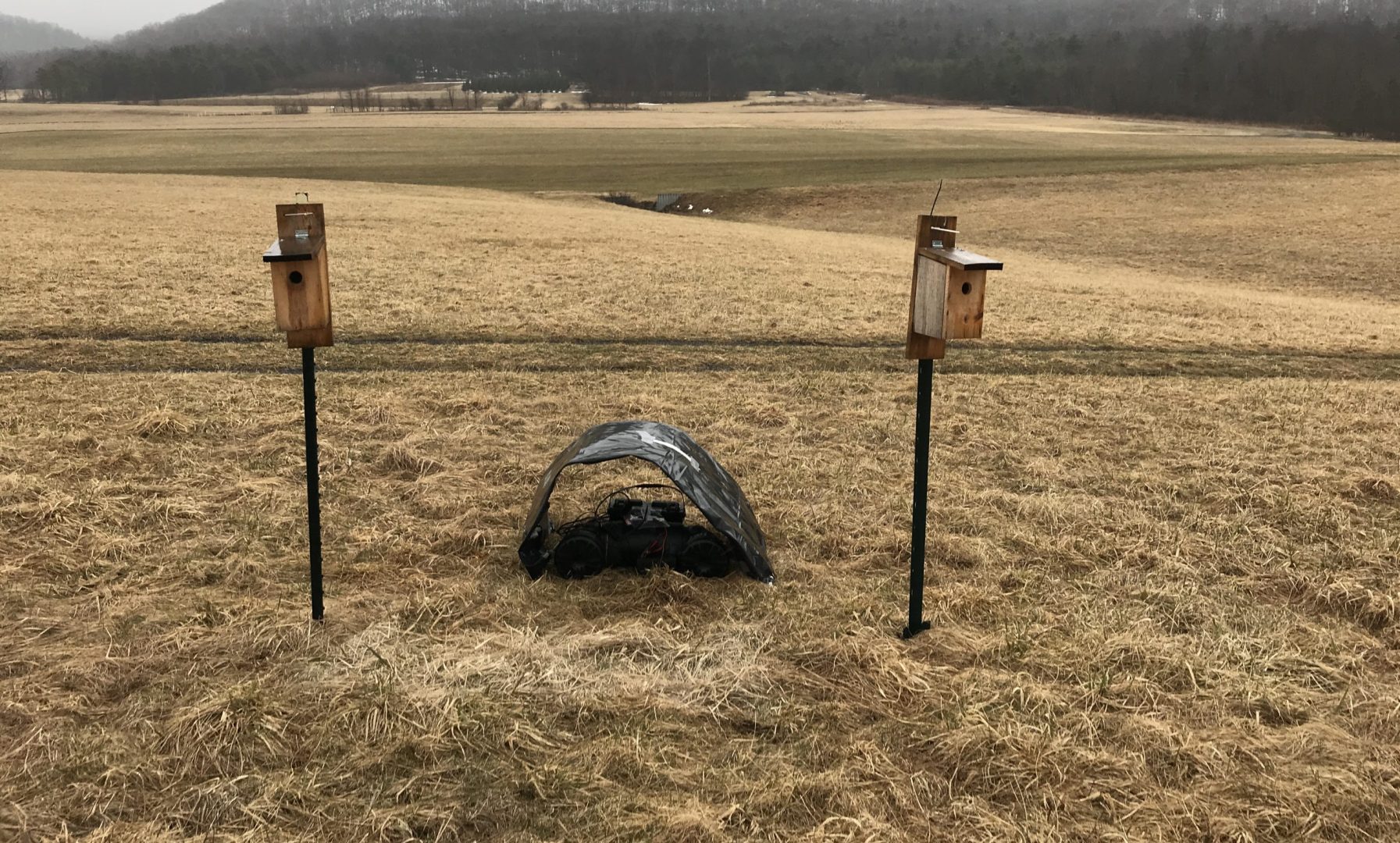 Penn State researchers played shale gas compressor noise next to half of the nest boxes in a study designed to measure the impact of compressor noise on songbirds' reproductive success.
